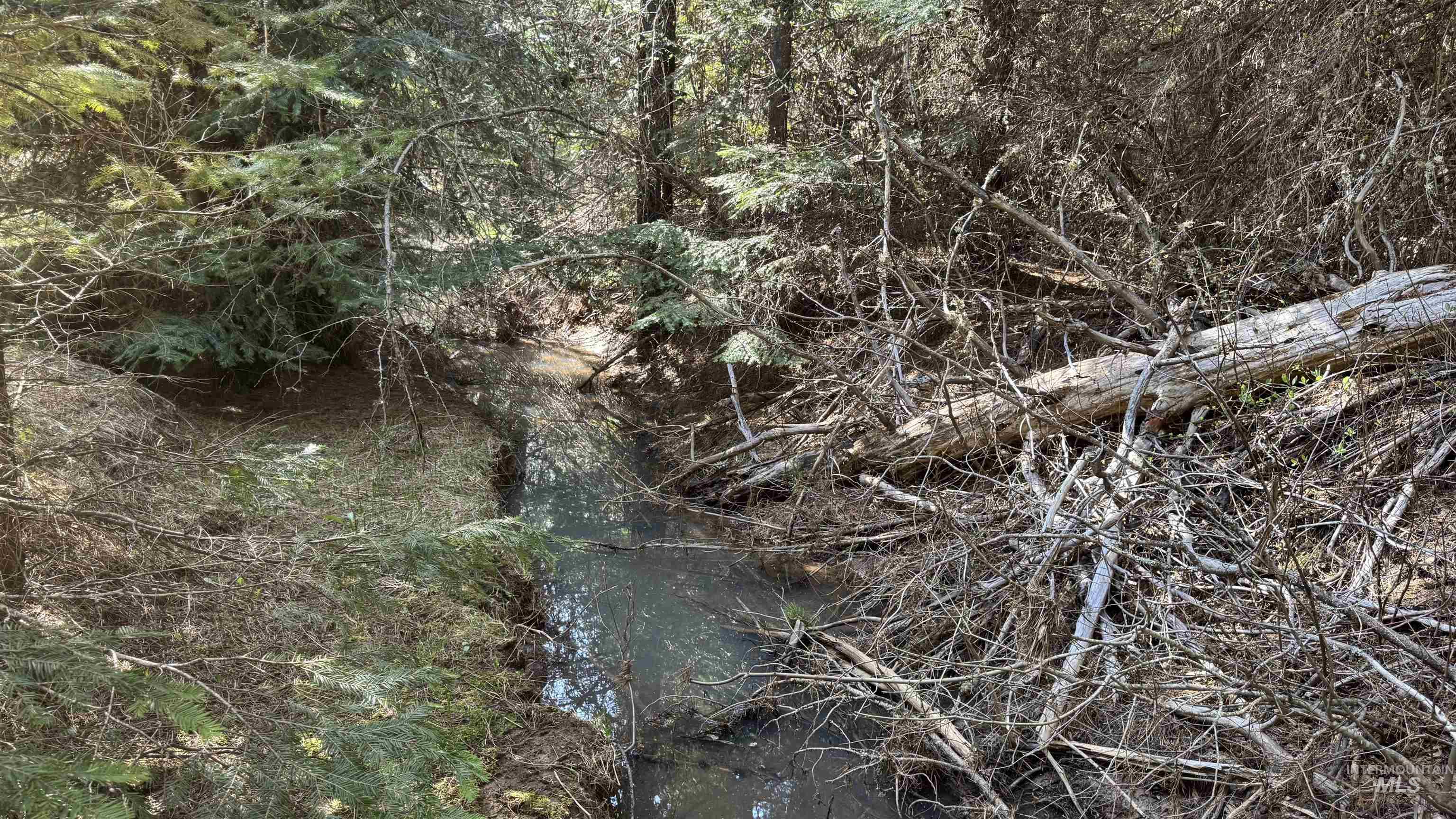 TBD Parcel 17-Bandmill Heights, Orofino, Idaho 83554, Land For Sale, Price $235,400,MLS 98944985