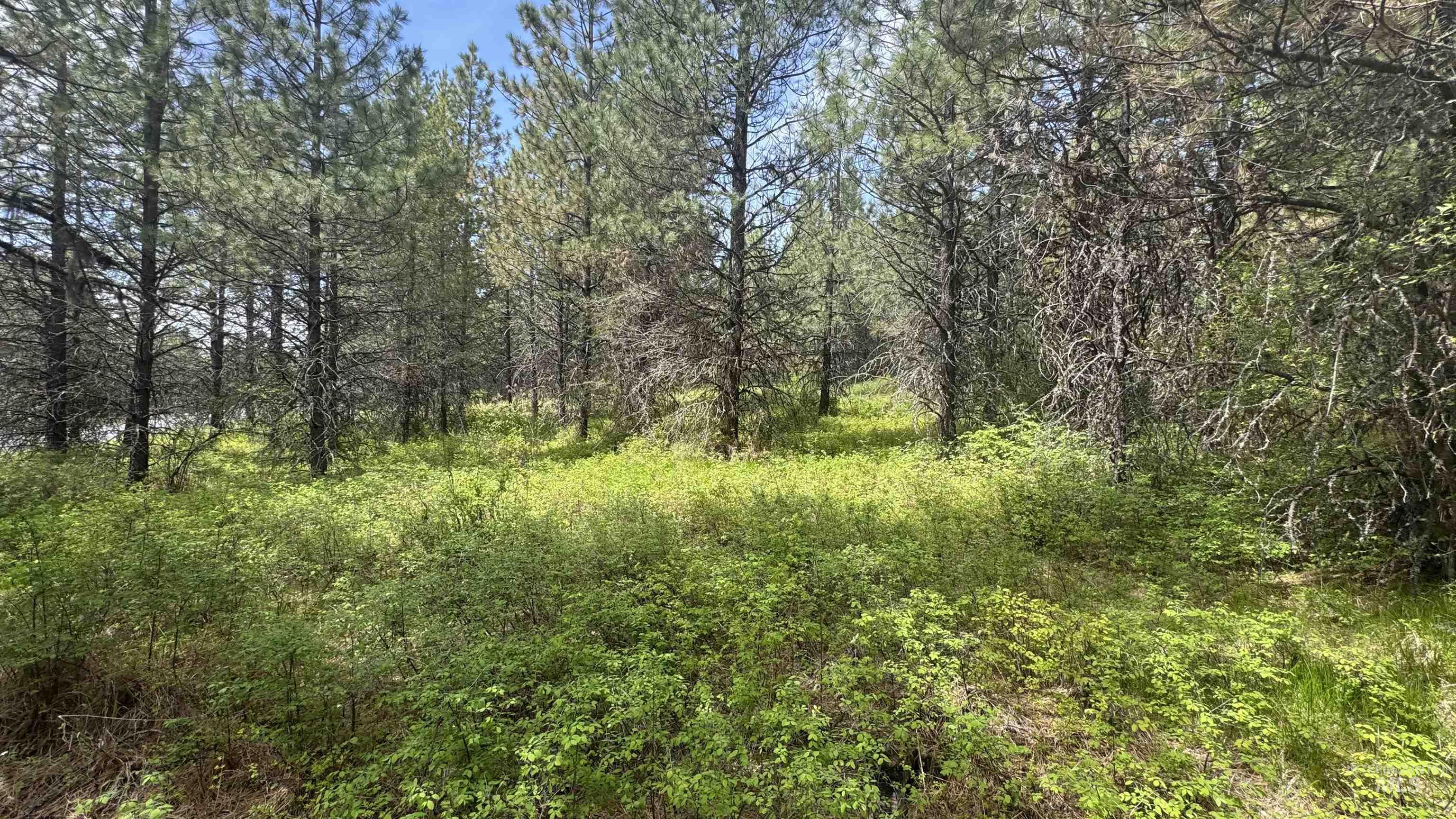 TBD Parcel 17-Bandmill Heights, Orofino, Idaho 83554, Land For Sale, Price $235,400,MLS 98944985