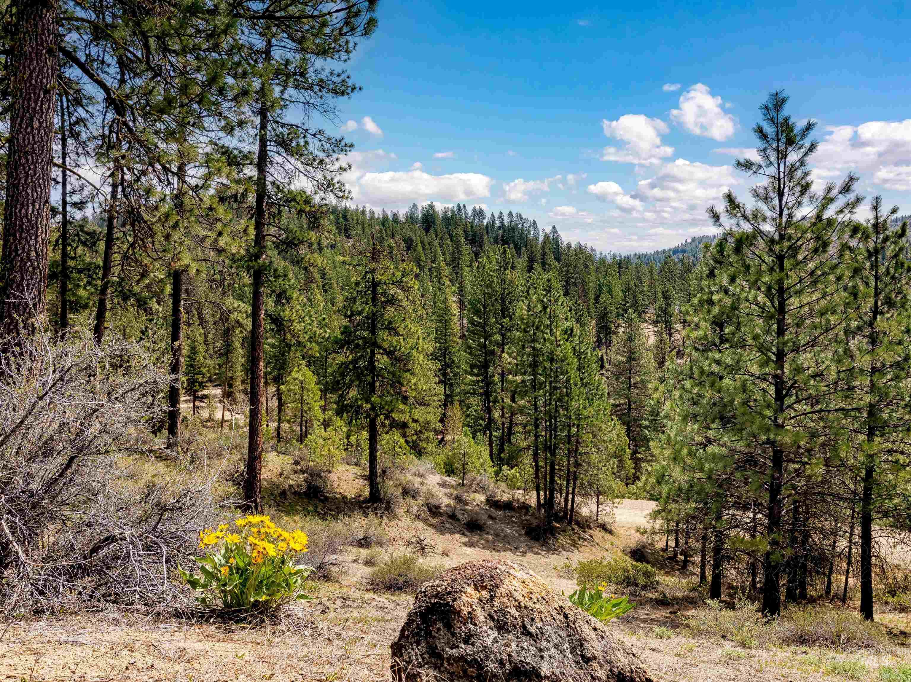 LOT 16 Napias Sub, Boise, Idaho 83716, Land For Sale, Price $175,000,MLS 98945055