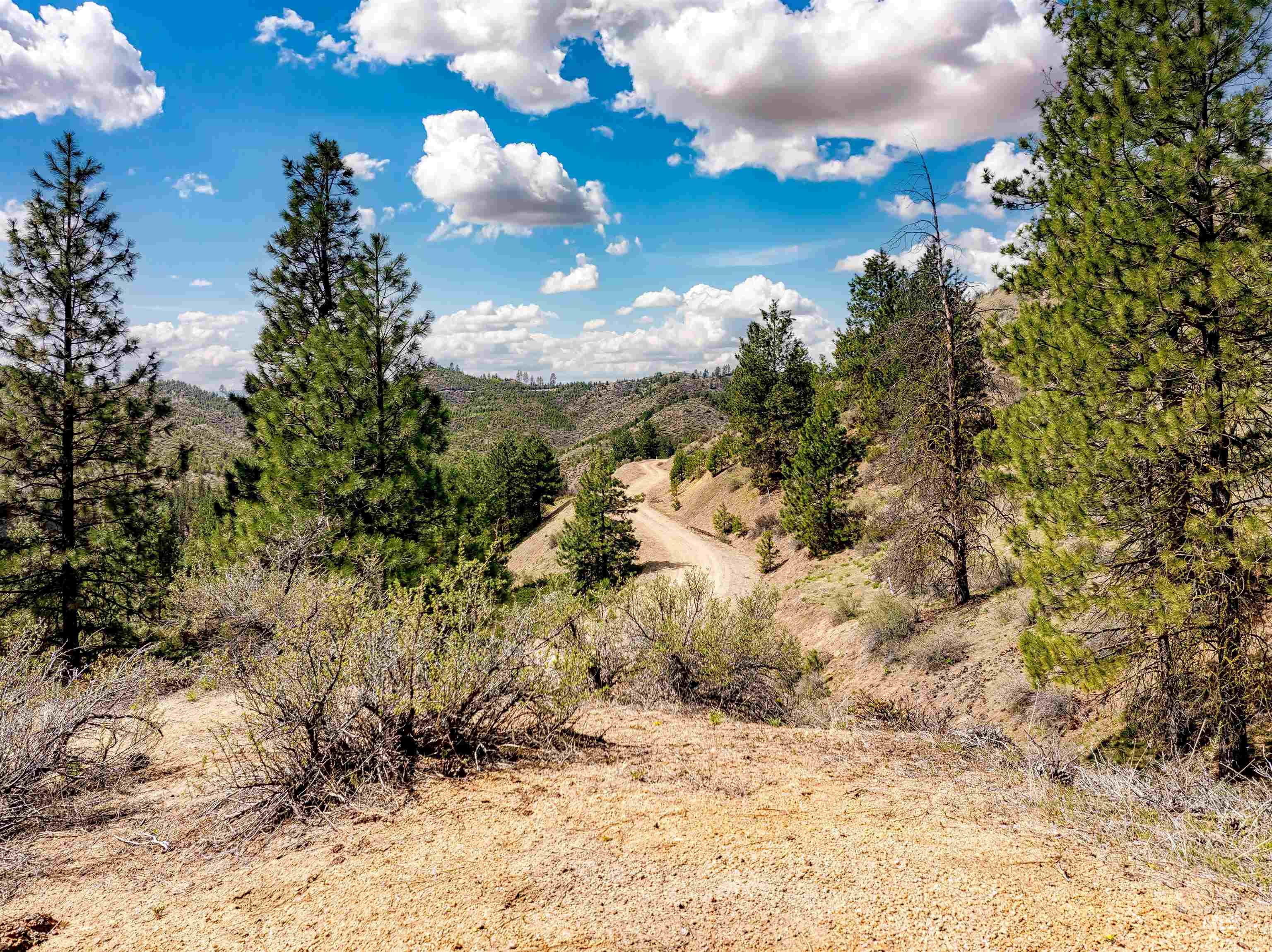 LOT 16 Napias Sub, Boise, Idaho 83716, Land For Sale, Price $175,000,MLS 98945055