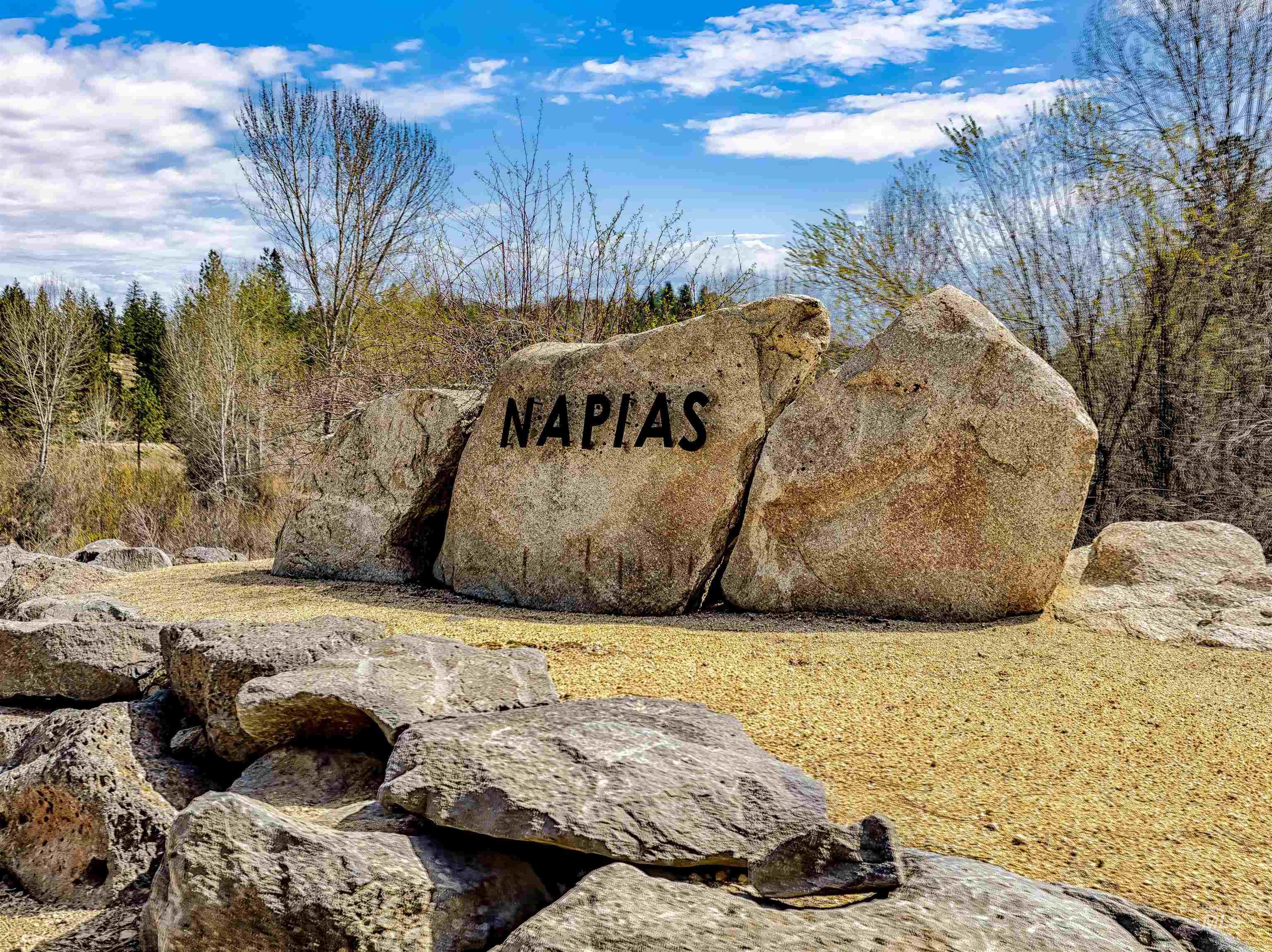 LOT 16 Napias Sub, Boise, Idaho 83716, Land For Sale, Price $175,000,MLS 98945055