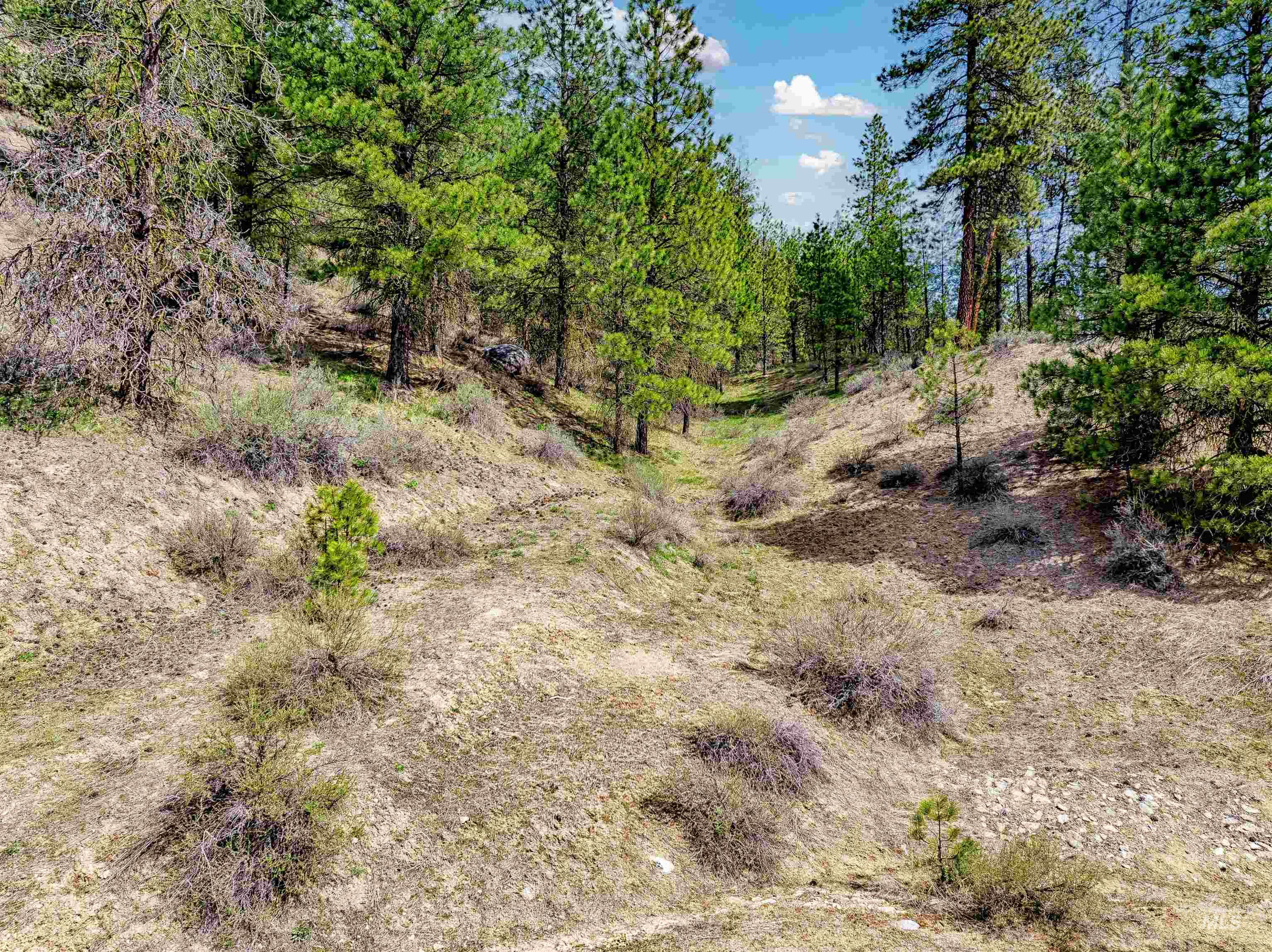 LOT 16 Napias Sub, Boise, Idaho 83716, Land For Sale, Price $175,000,MLS 98945055