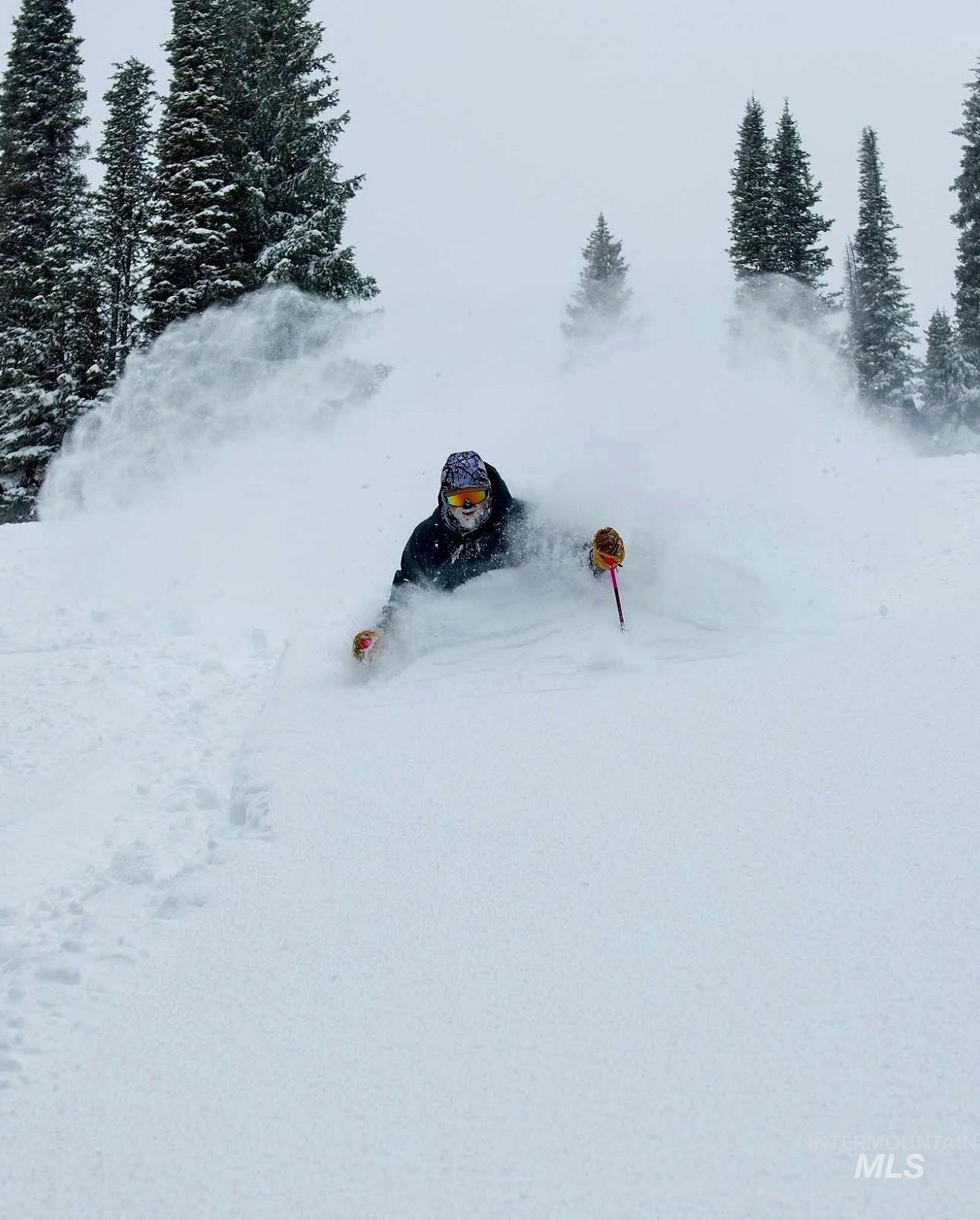 780 Village Drive, Donnelly, Idaho 83615, 1 Bedroom, 1 Bathroom, Residential For Sale, Price $599,000,MLS 98945241