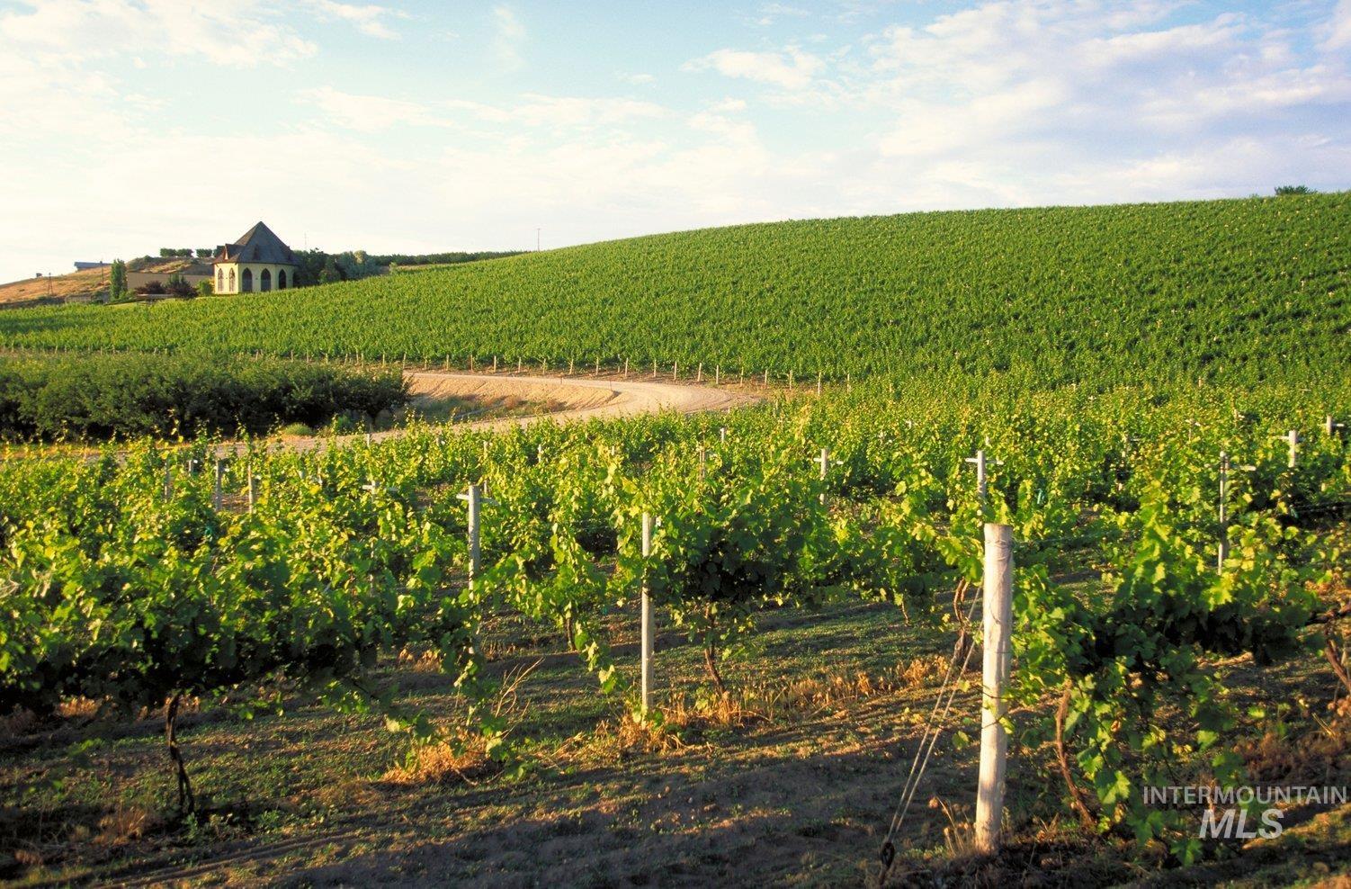 TBD Fran Lane, Wilder, Idaho 83676, Land For Sale, Price $649,900, 98945446