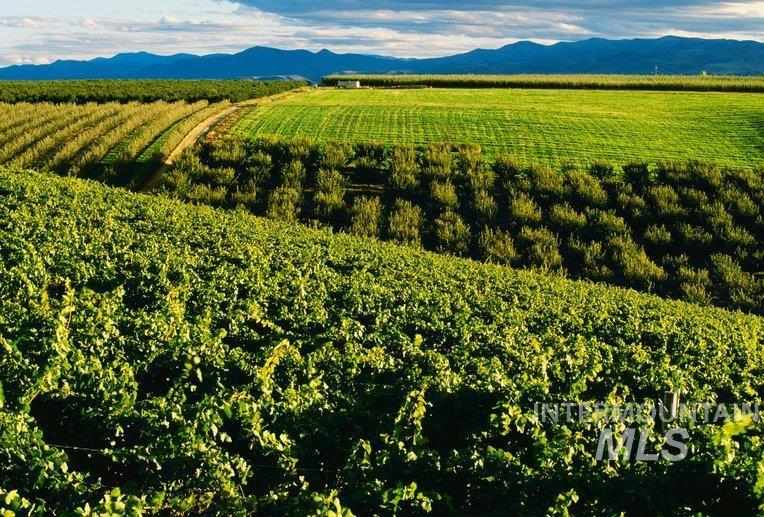 TBD Fran Lane, Wilder, Idaho 83676, Land For Sale, Price $649,900, 98945446