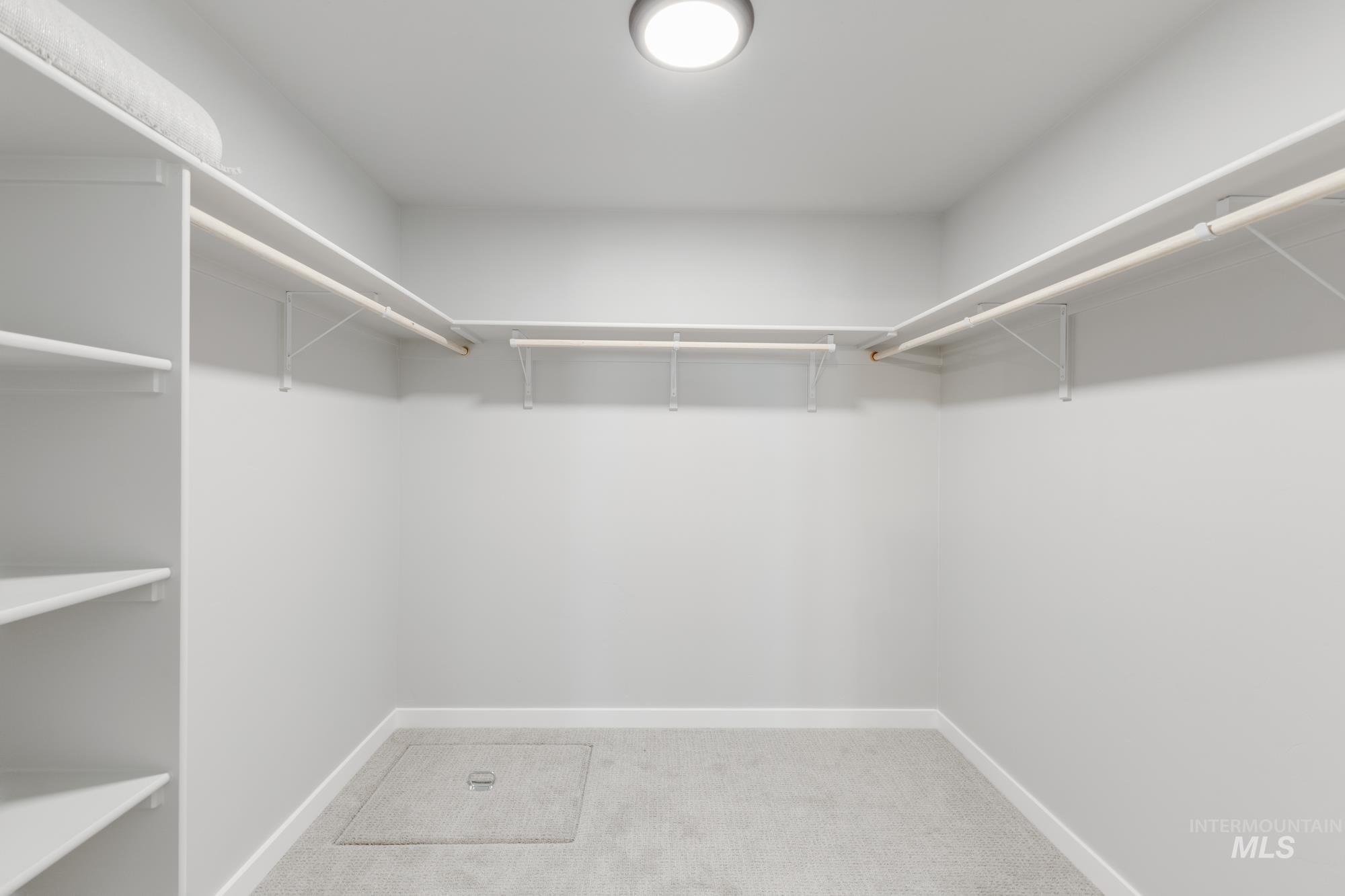 Walk in closet with light carpet