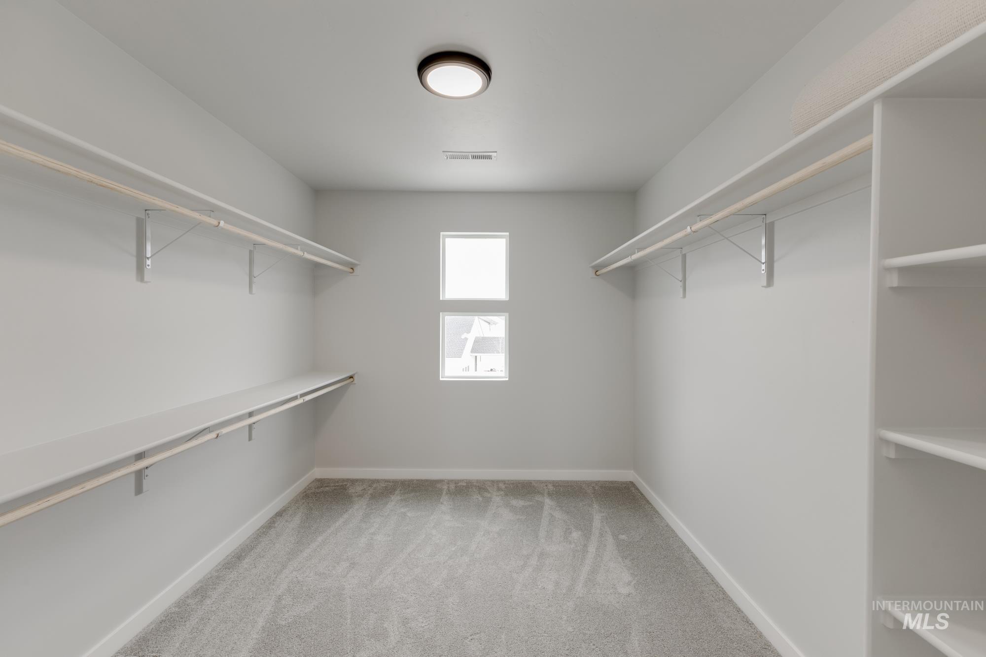 Spacious closet featuring carpet flooring