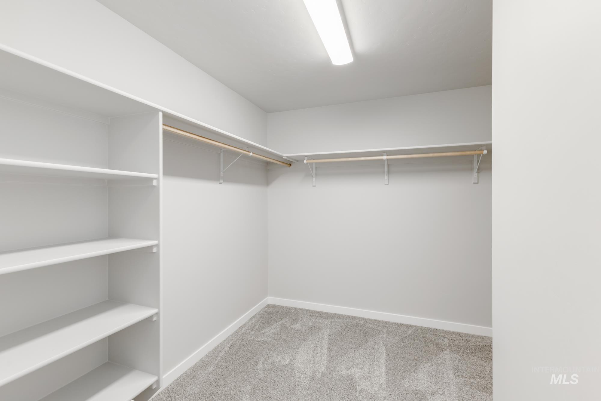 Walk in closet with carpet