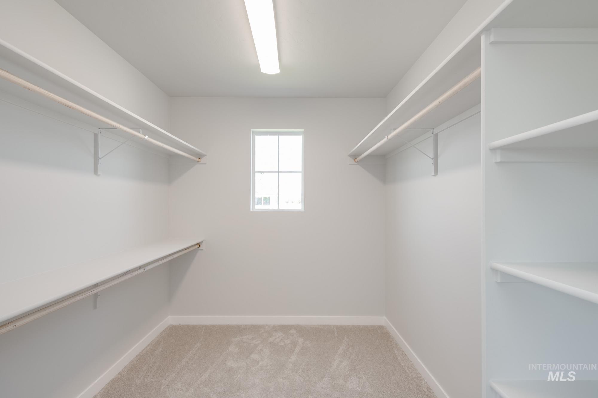 Walk in closet with light colored carpet