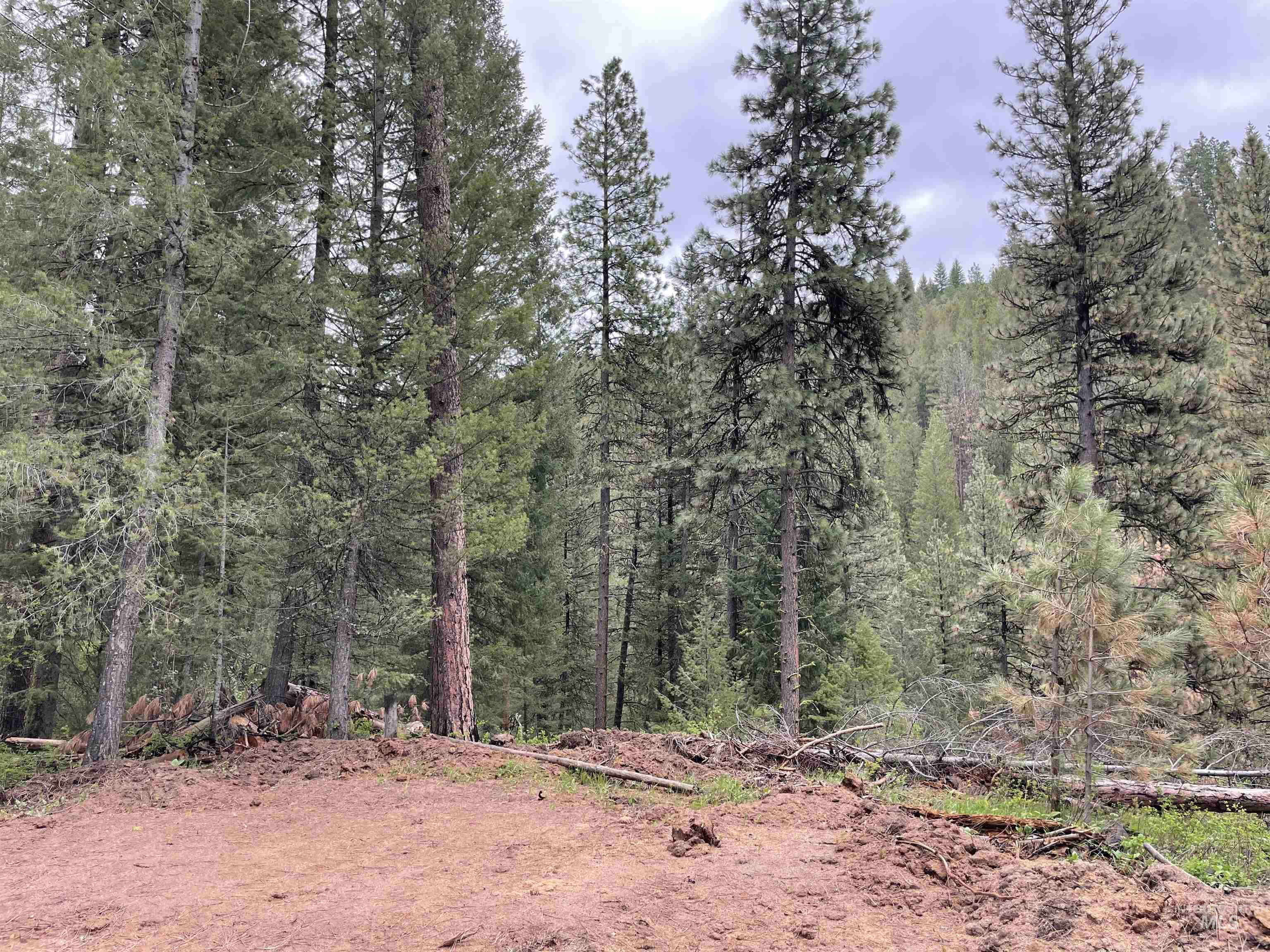 TBD Park Ln Lot 8, Boise, Idaho 83716, Land For Sale, Price $70,000,MLS 98946032