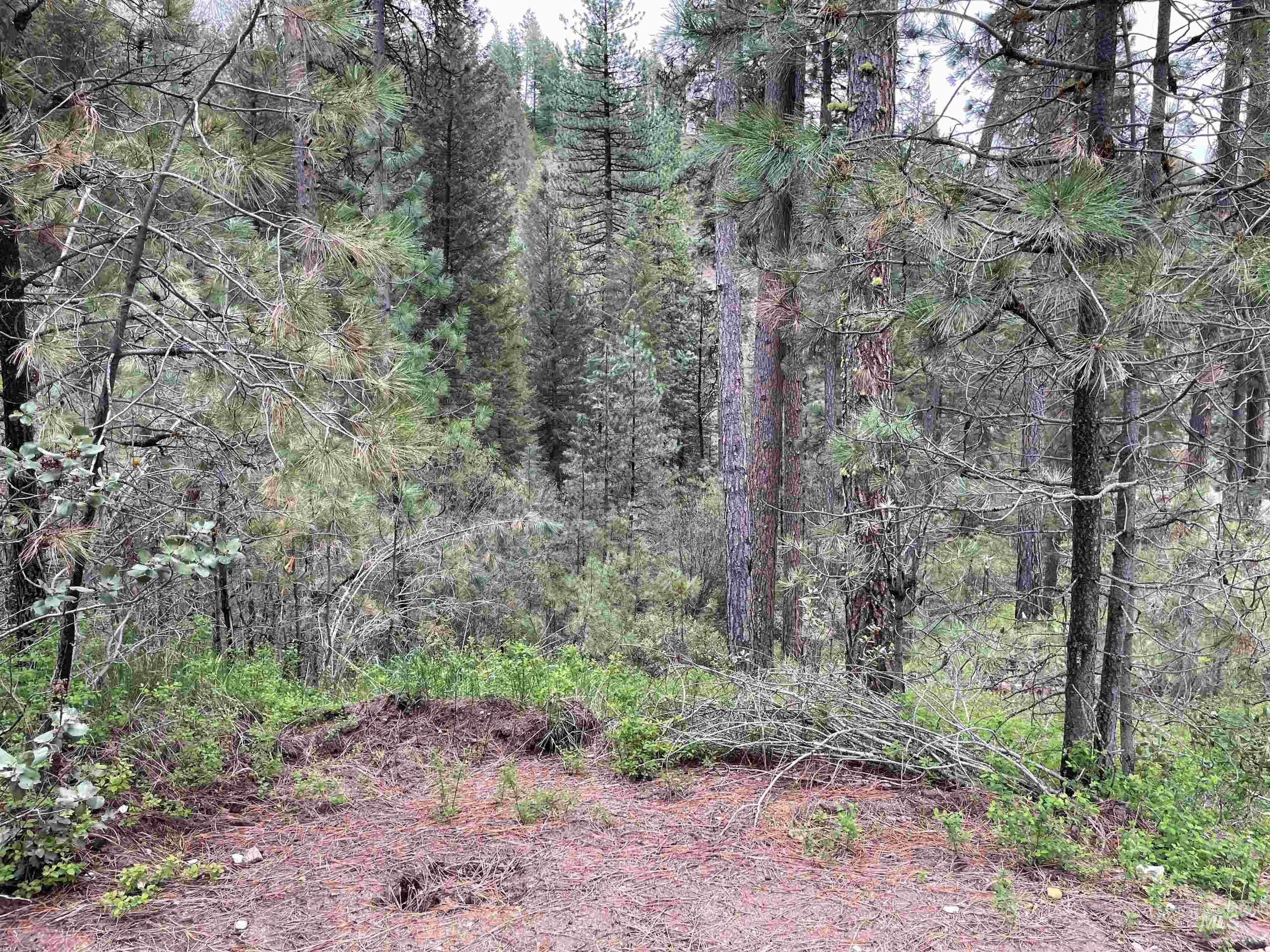 TBD Park Ln Lot 8, Boise, Idaho 83716, Land For Sale, Price $70,000,MLS 98946032