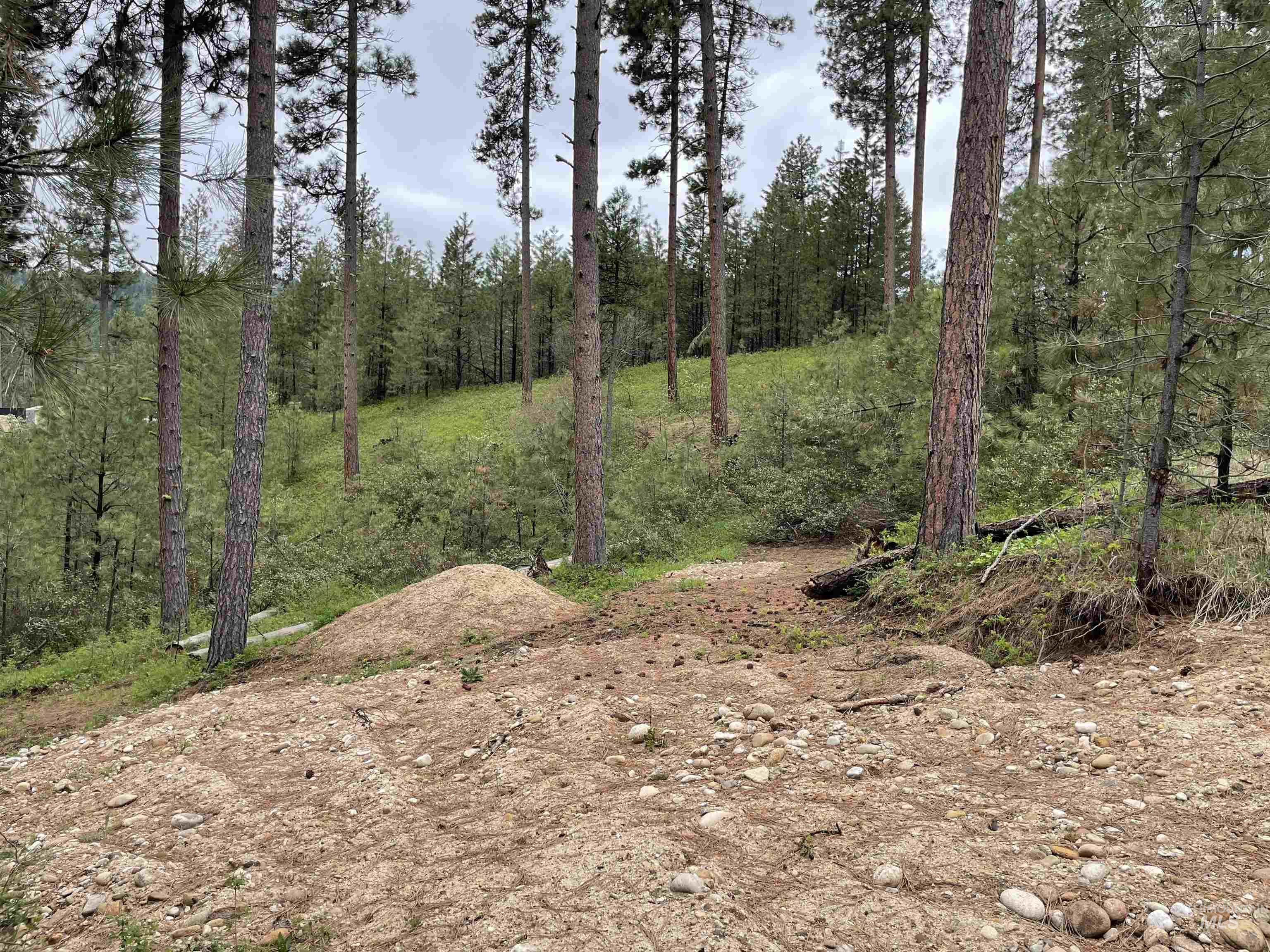 TBD Park Ln Lot 8, Boise, Idaho 83716, Land For Sale, Price $70,000,MLS 98946032