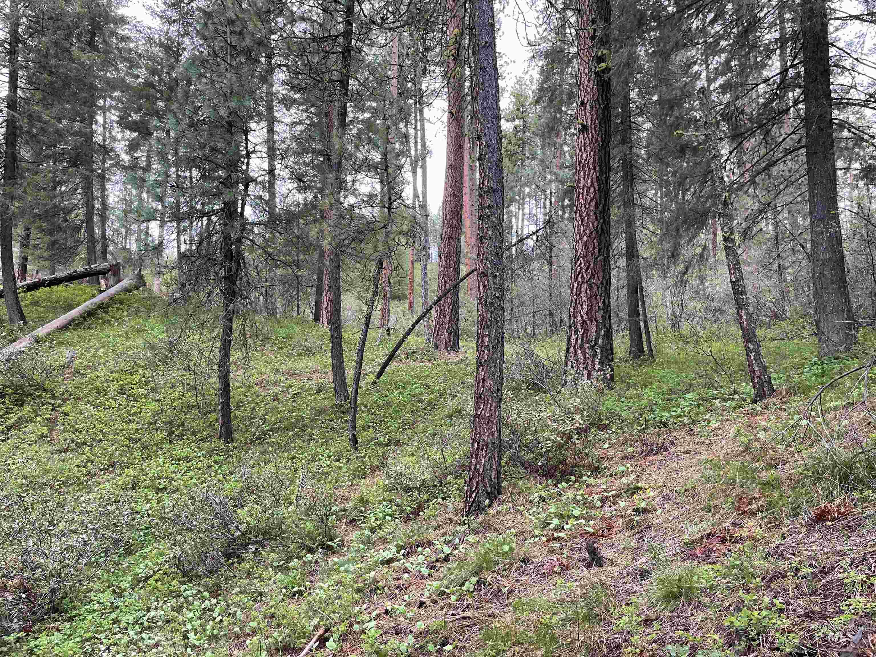 TBD Park Ln Lot 8, Boise, Idaho 83716, Land For Sale, Price $70,000,MLS 98946032