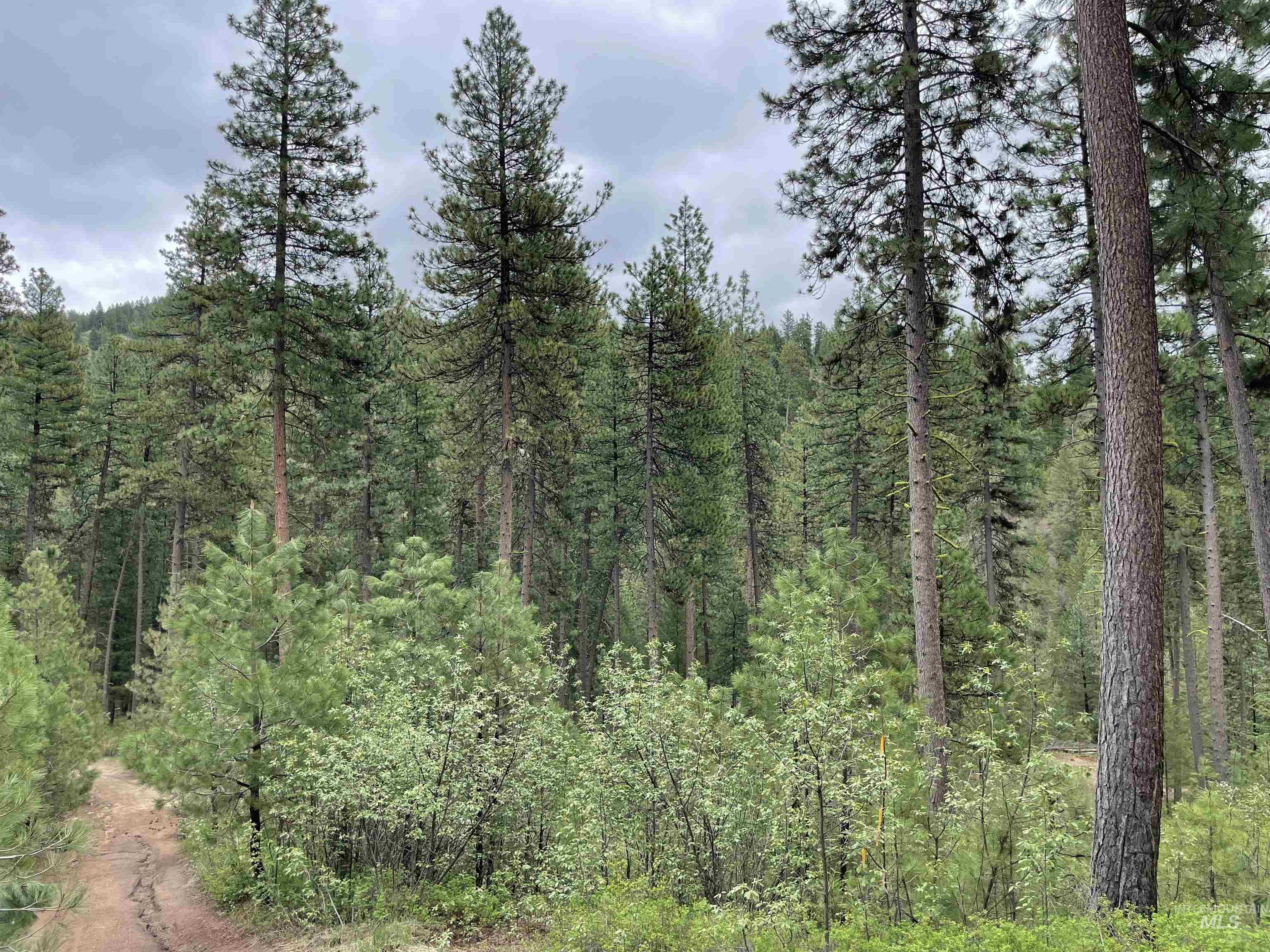 TBD Park Ln Lot 8, Boise, Idaho 83716, Land For Sale, Price $70,000,MLS 98946032