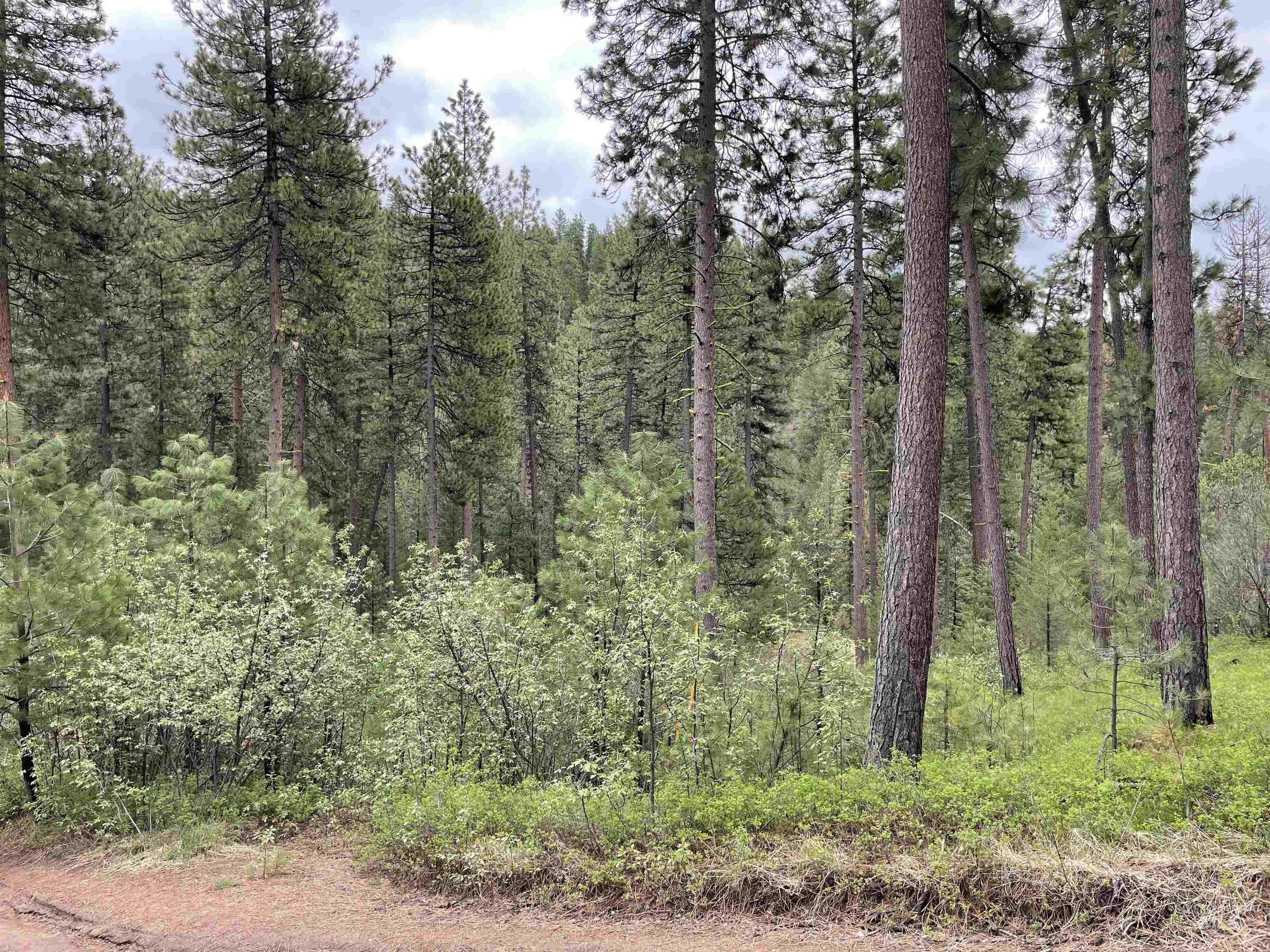 TBD Park Ln Lot 8, Boise, Idaho 83716, Land For Sale, Price $70,000,MLS 98946032