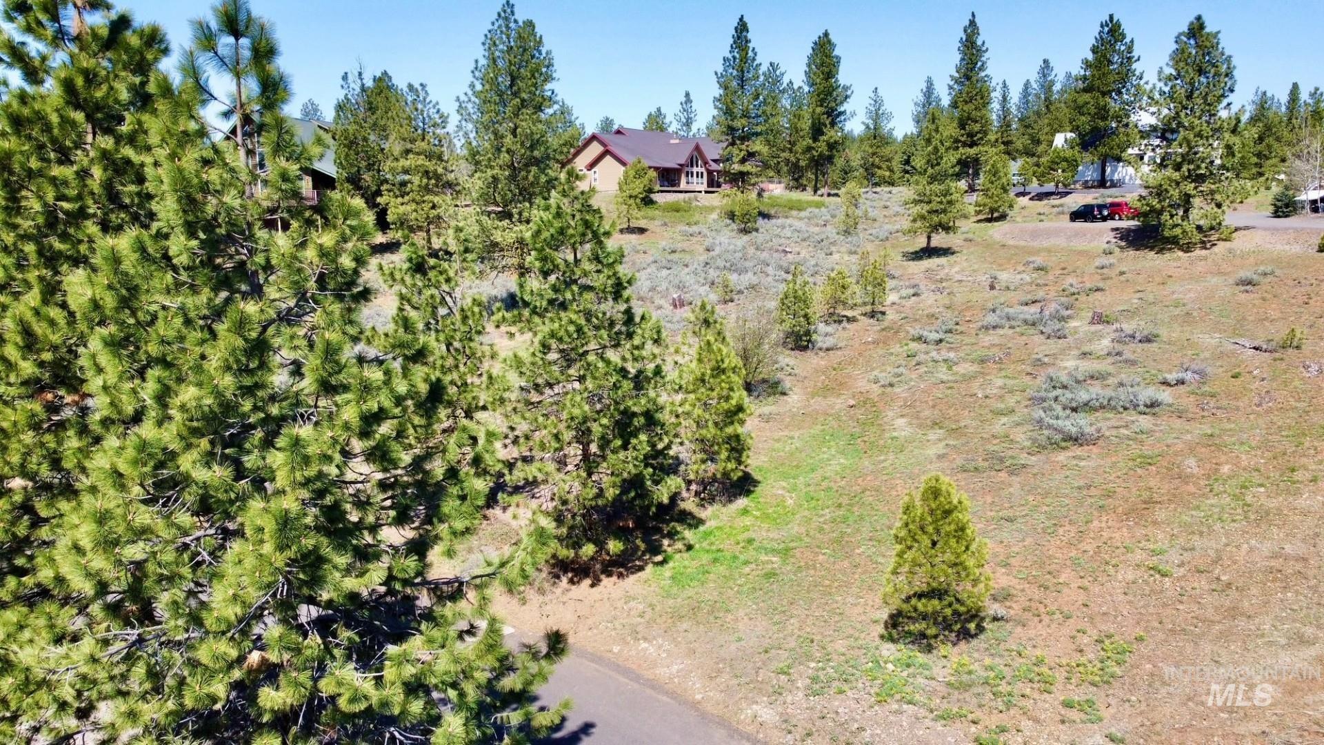 TBD Yarrow Drive, New Meadows, Idaho 83654, Land For Sale, Price $109,900,MLS 98946173
