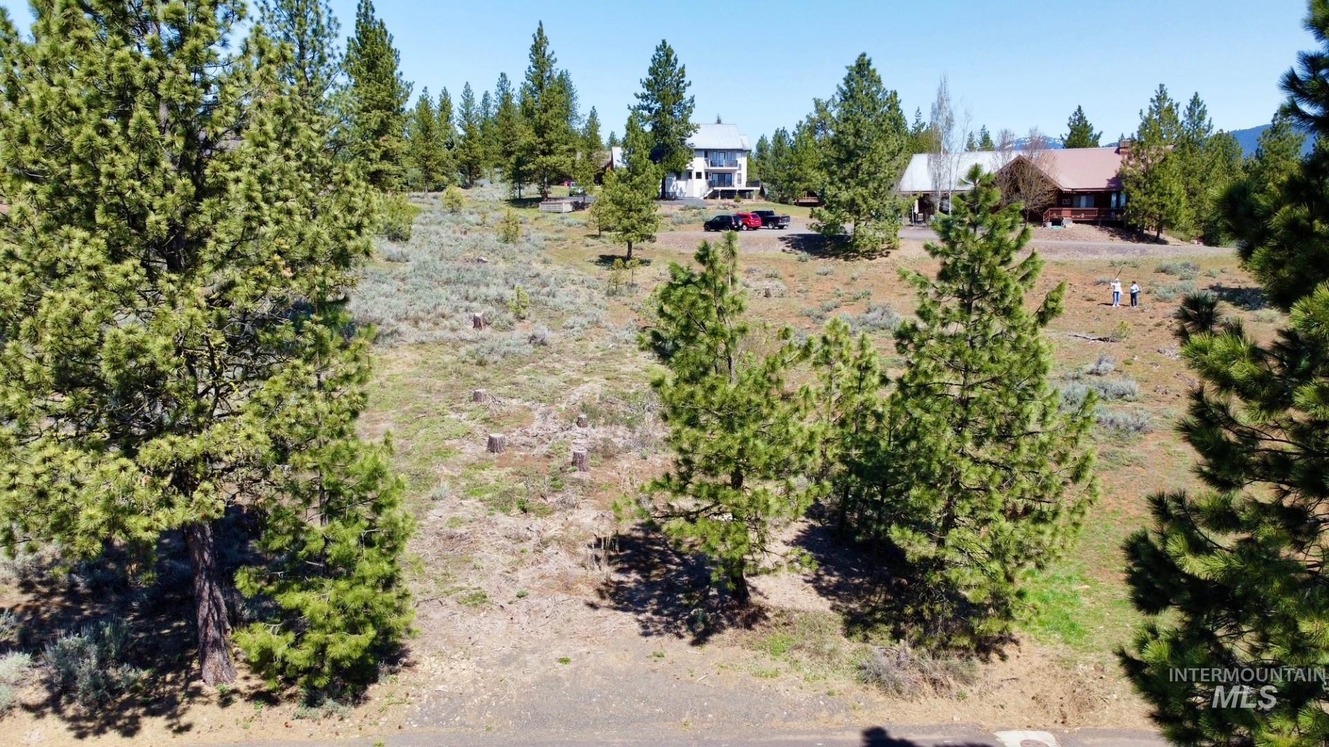 TBD Yarrow Drive, New Meadows, Idaho 83654, Land For Sale, Price $109,900,MLS 98946173