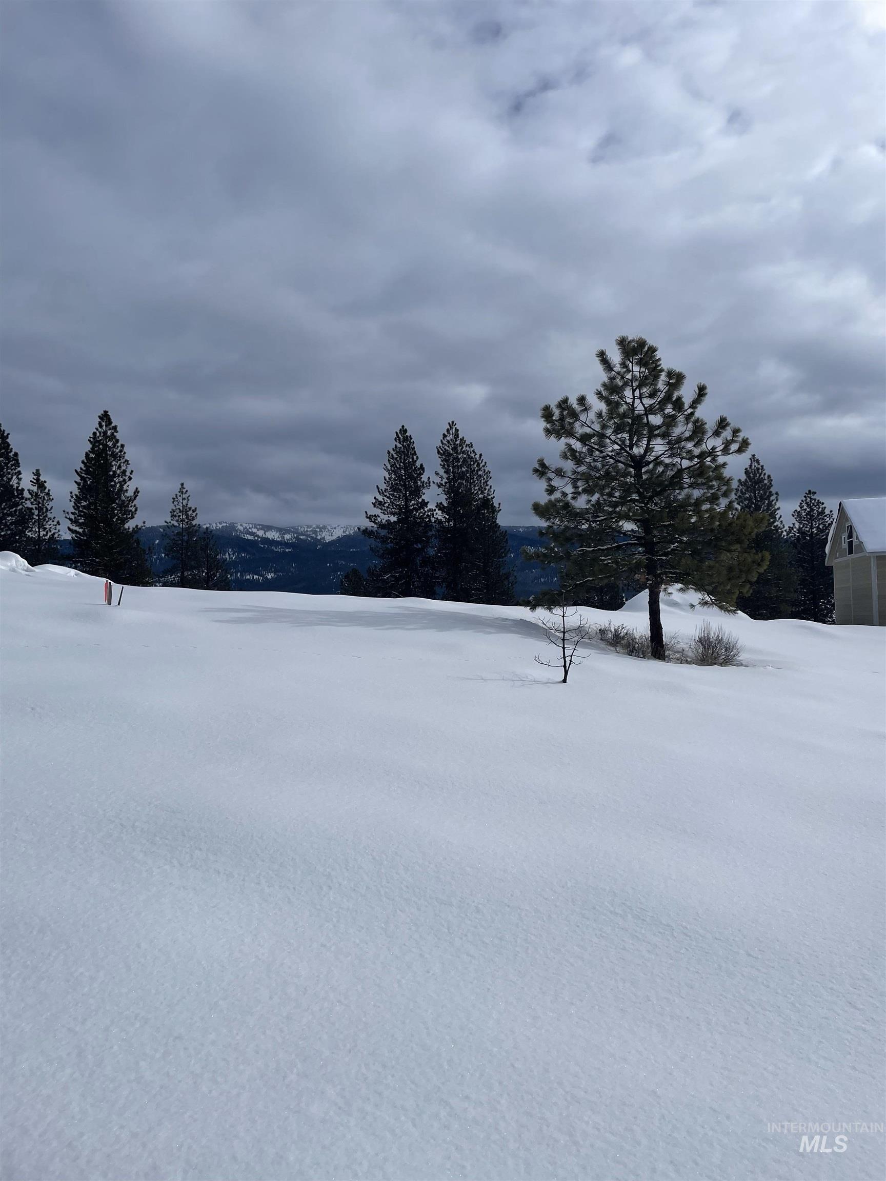 TBD Yarrow Drive, New Meadows, Idaho 83654, Land For Sale, Price $109,900,MLS 98946173