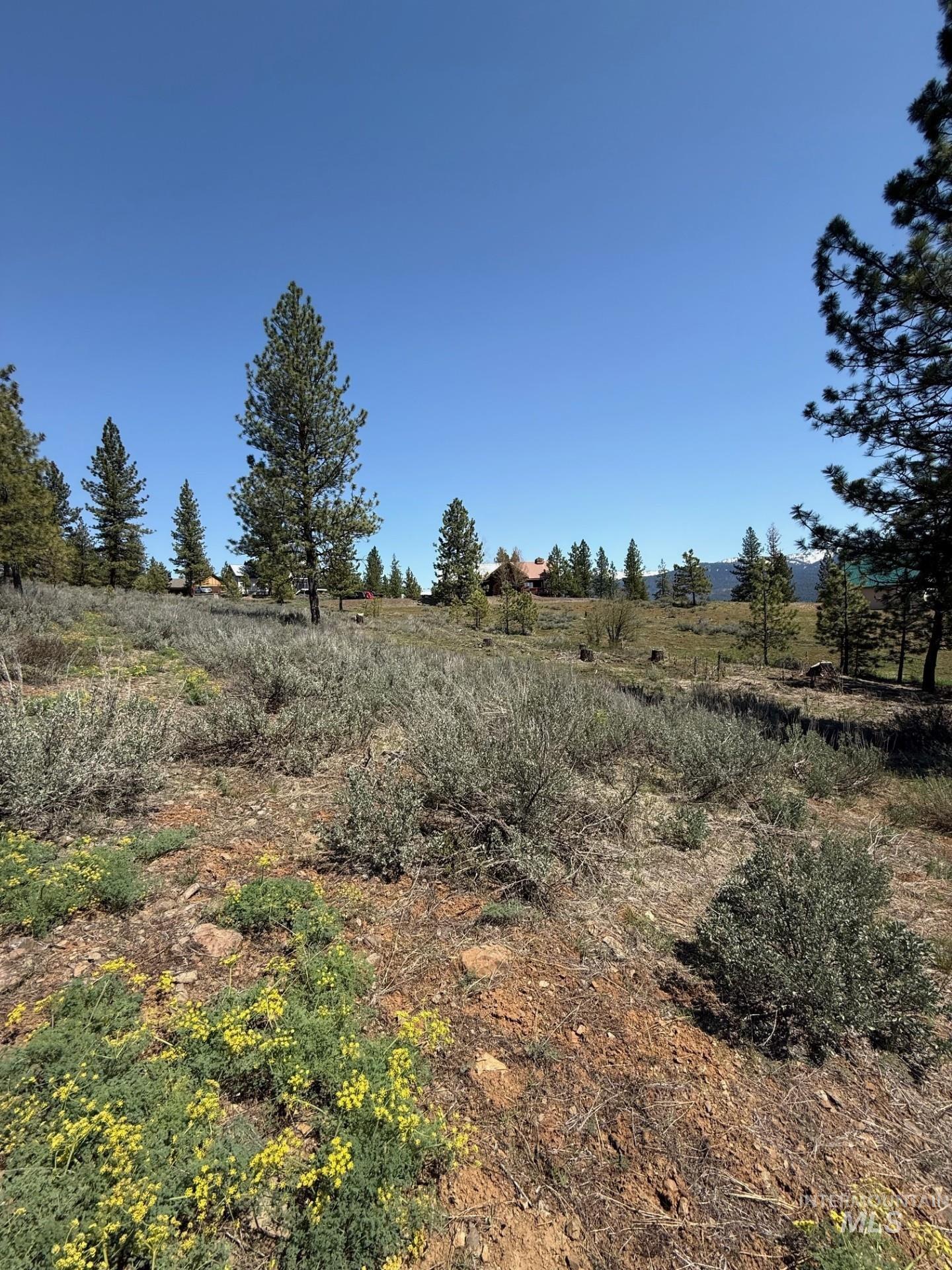 TBD Yarrow Drive, New Meadows, Idaho 83654, Land For Sale, Price $109,900,MLS 98946173