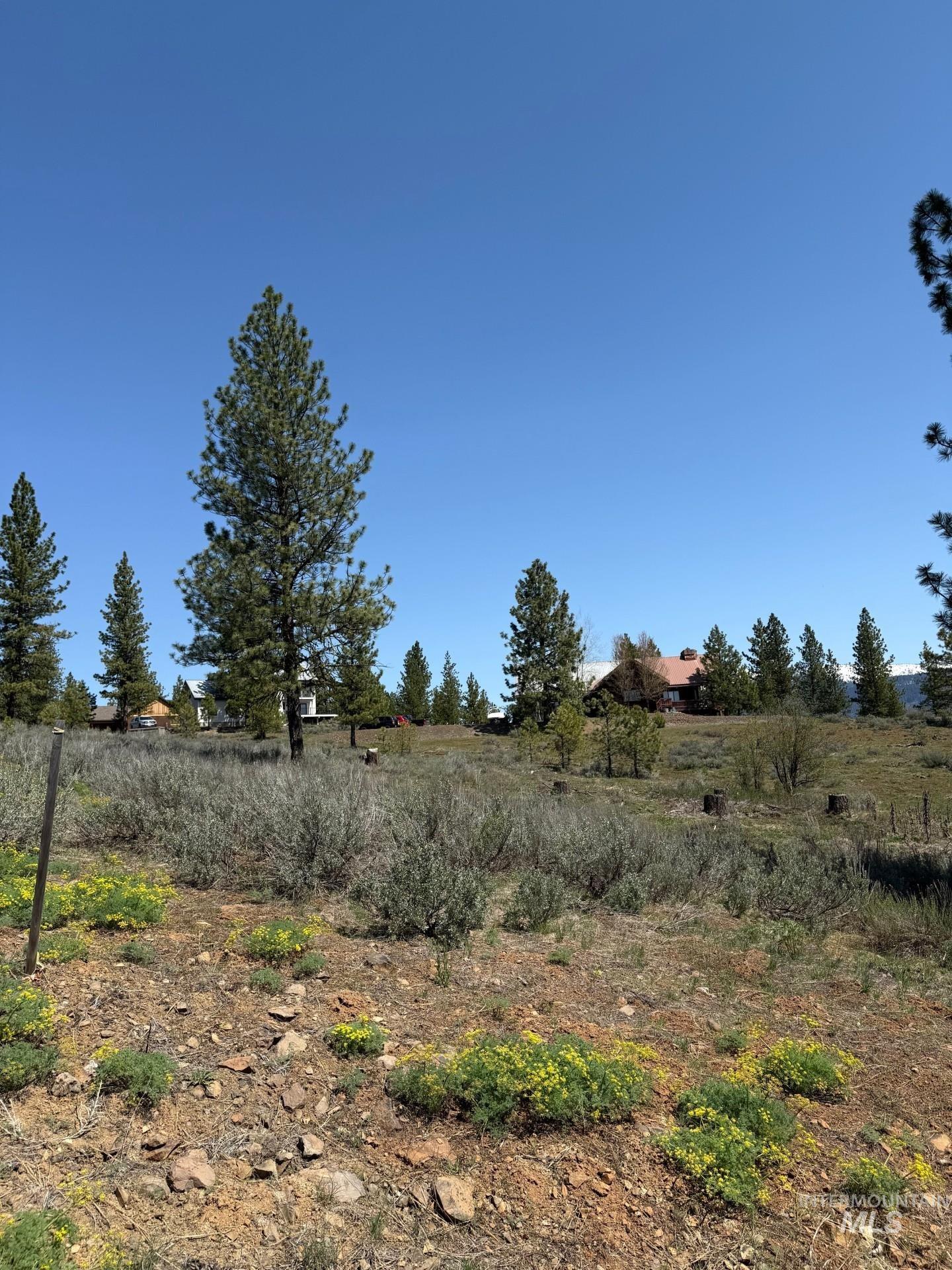 TBD Yarrow Drive, New Meadows, Idaho 83654, Land For Sale, Price $109,900,MLS 98946173