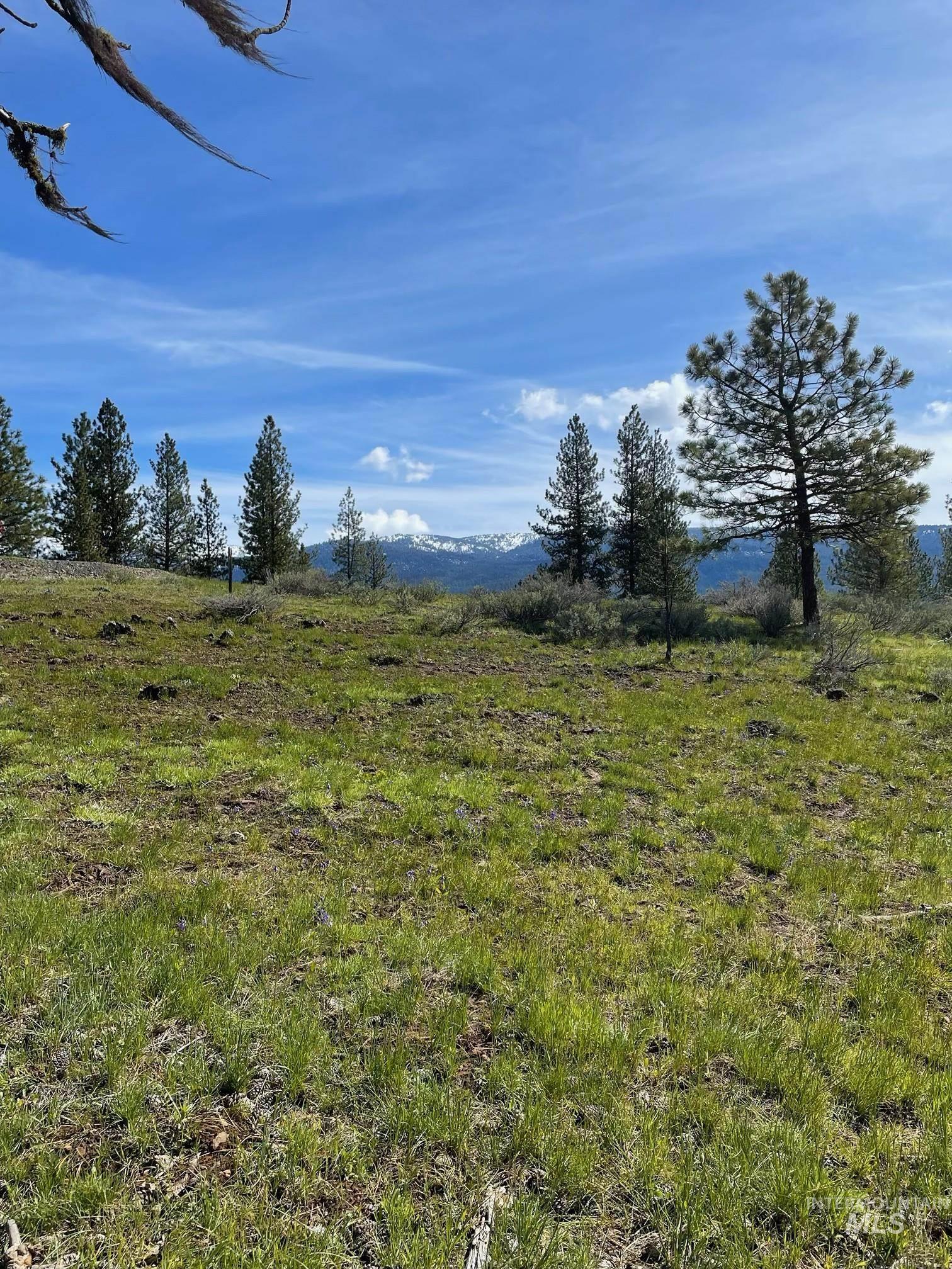 TBD Yarrow Drive, New Meadows, Idaho 83654, Land For Sale, Price $109,900,MLS 98946173