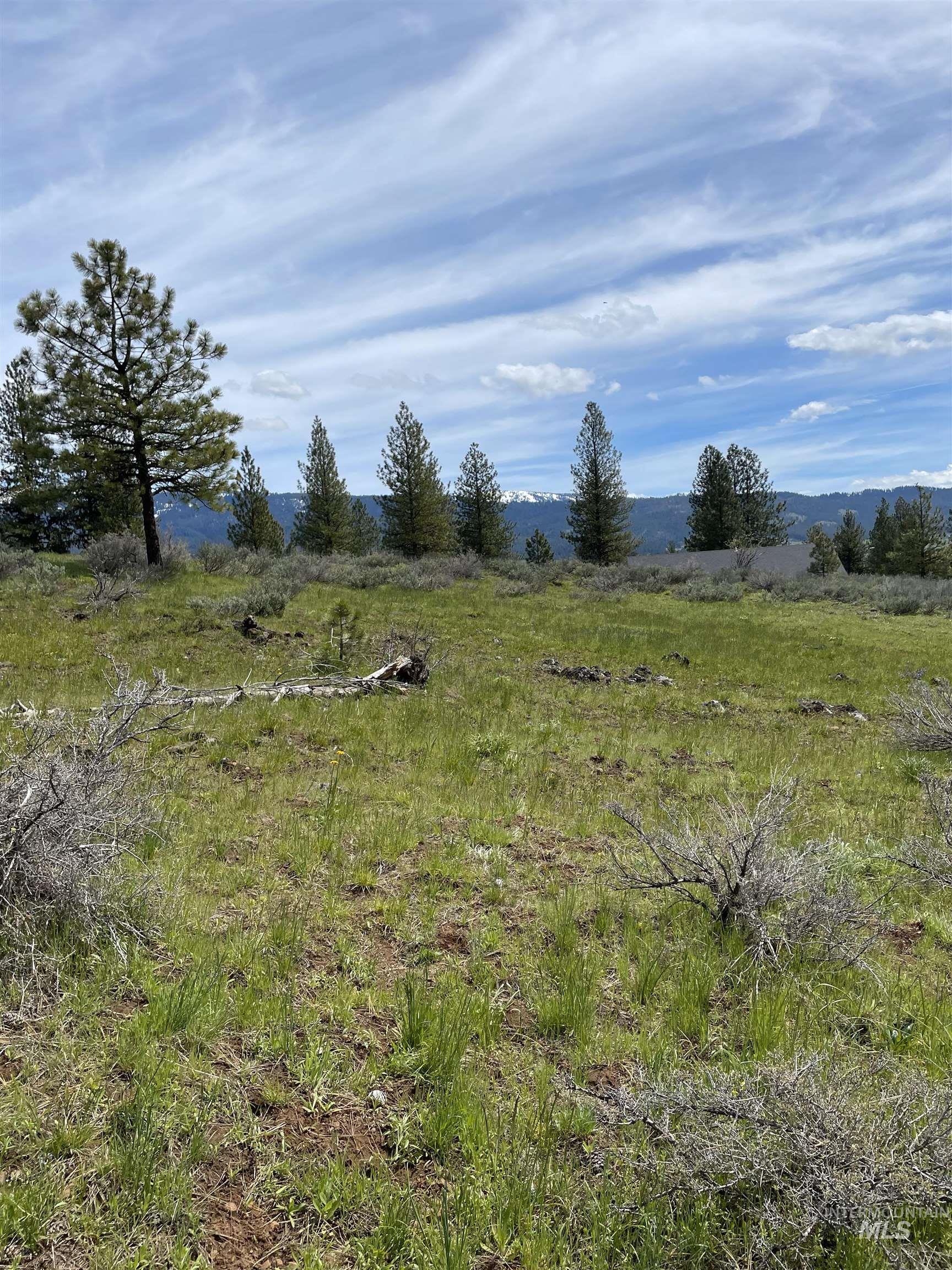 TBD Yarrow Drive, New Meadows, Idaho 83654, Land For Sale, Price $109,900,MLS 98946173