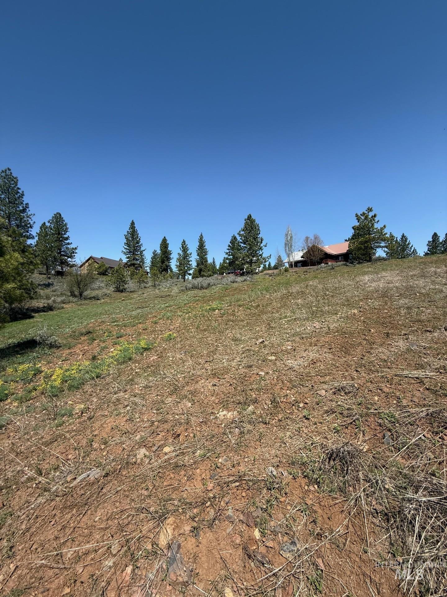 TBD Yarrow Drive, New Meadows, Idaho 83654, Land For Sale, Price $109,900,MLS 98946173