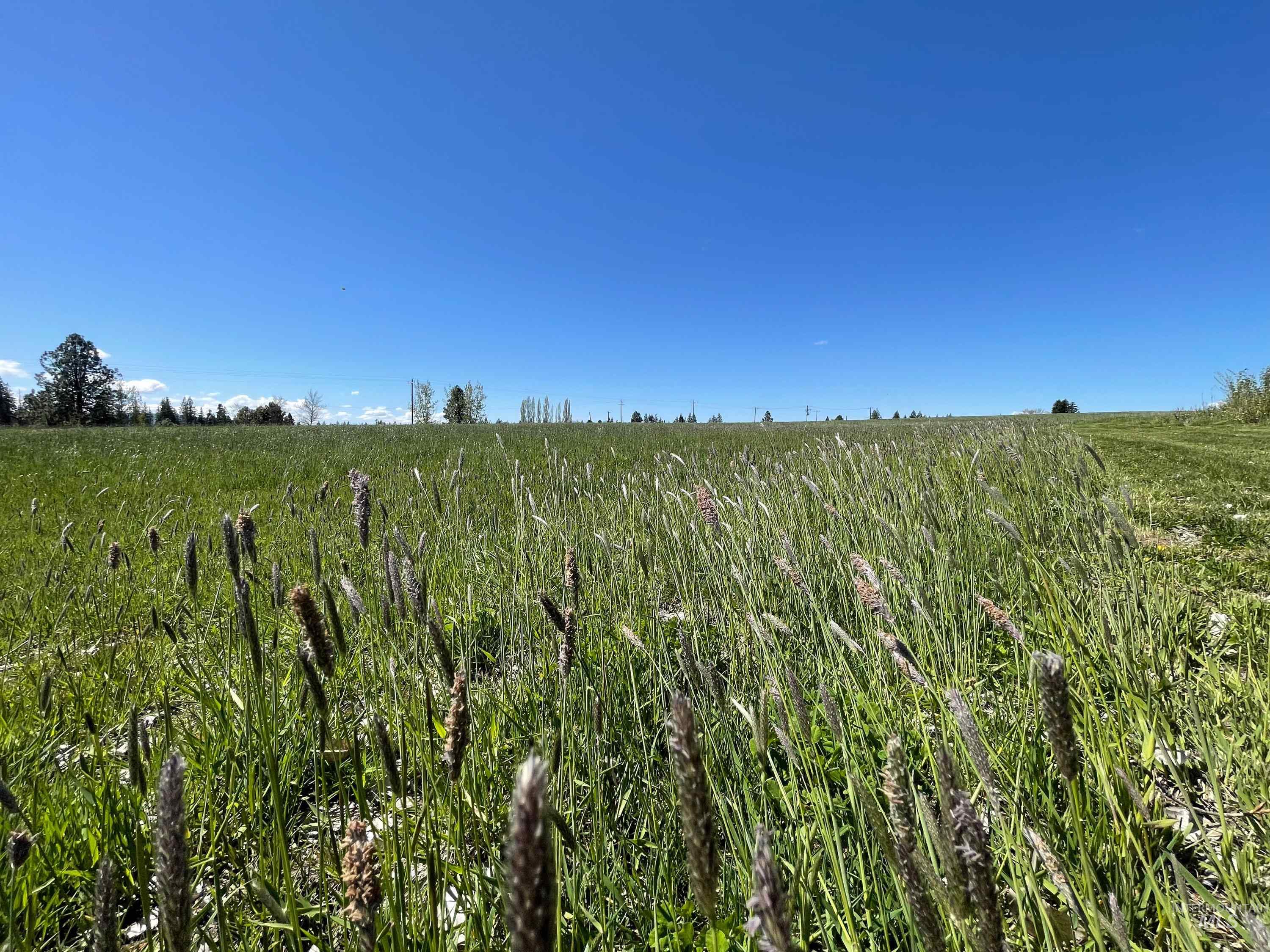 56922 S Hwy 97, St. Maries, Idaho 83861, 2 Bedrooms, 2 Bathrooms, Farm & Ranch For Sale, Price $2,490,000, 98946368