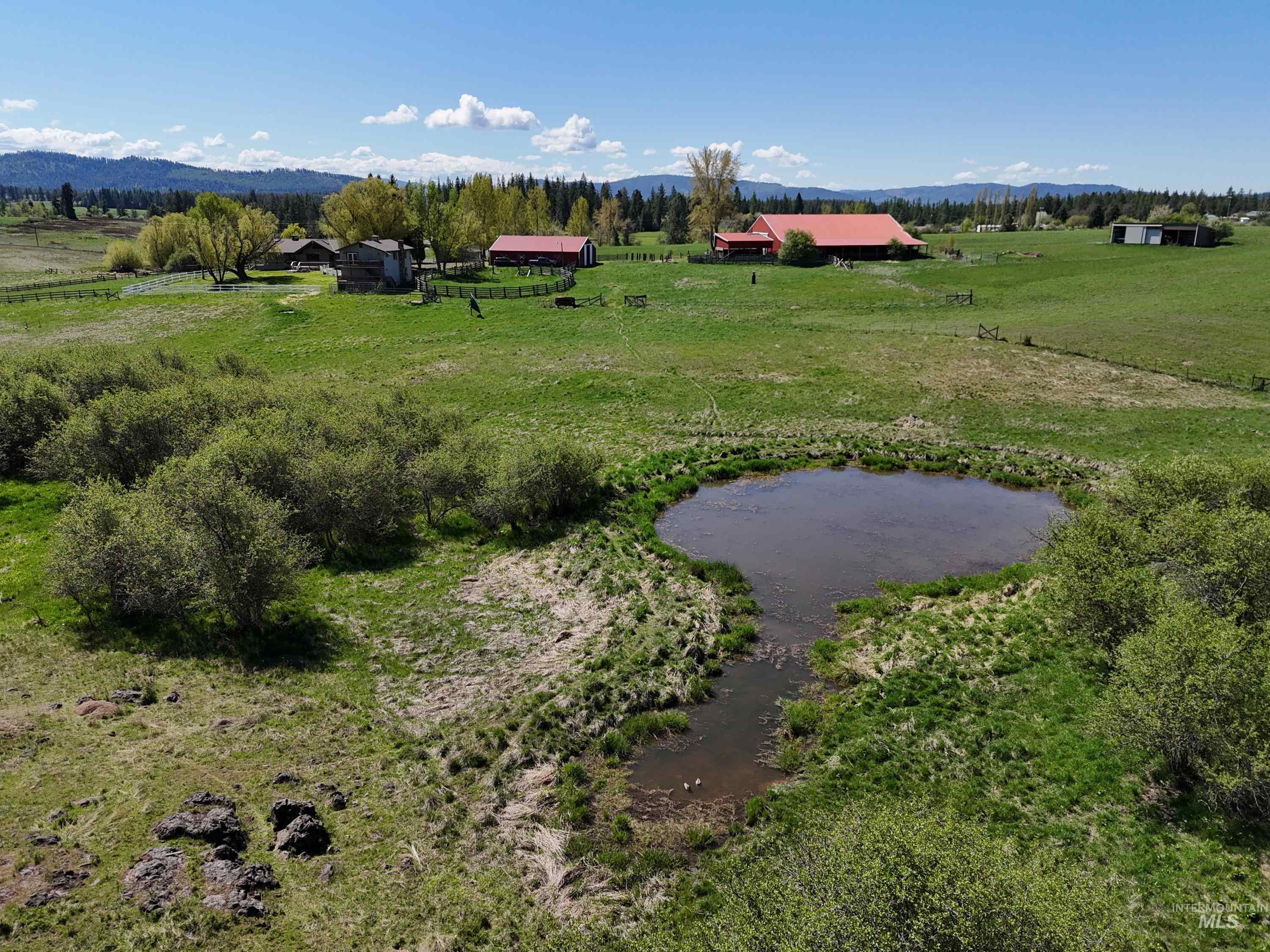 56922 S Hwy 97, St. Maries, Idaho 83861, 2 Bedrooms, 2 Bathrooms, Farm & Ranch For Sale, Price $2,490,000, 98946368