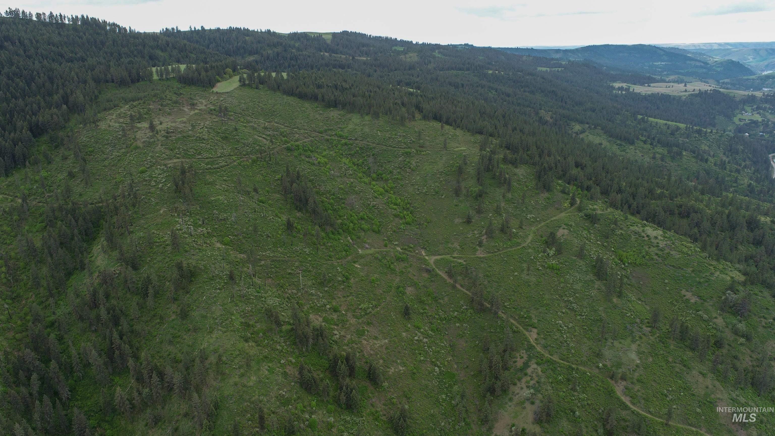 Rural Land Mile Marker 33 HWY 12, Peck, Idaho 83545, Land For Sale, Price $1,250,000, 98946518