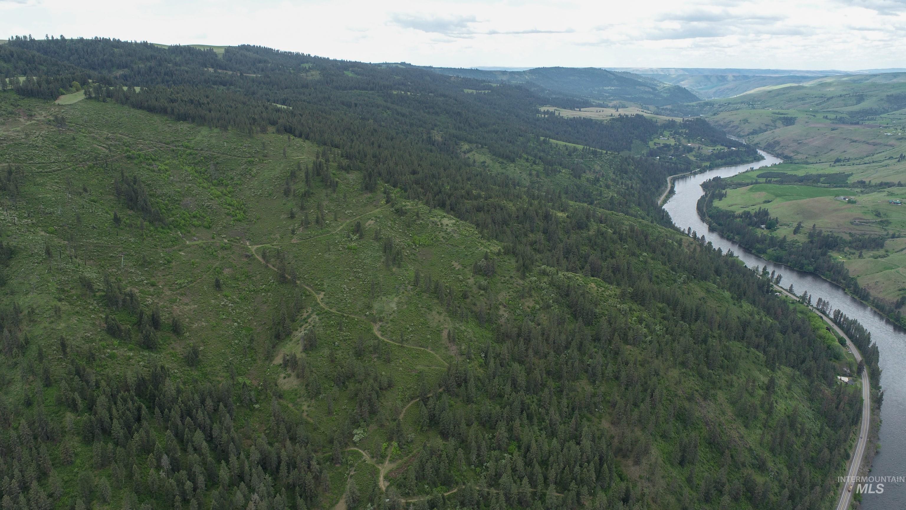 Rural Land Mile Marker 33 HWY 12, Peck, Idaho 83545, Land For Sale, Price $1,250,000, 98946518