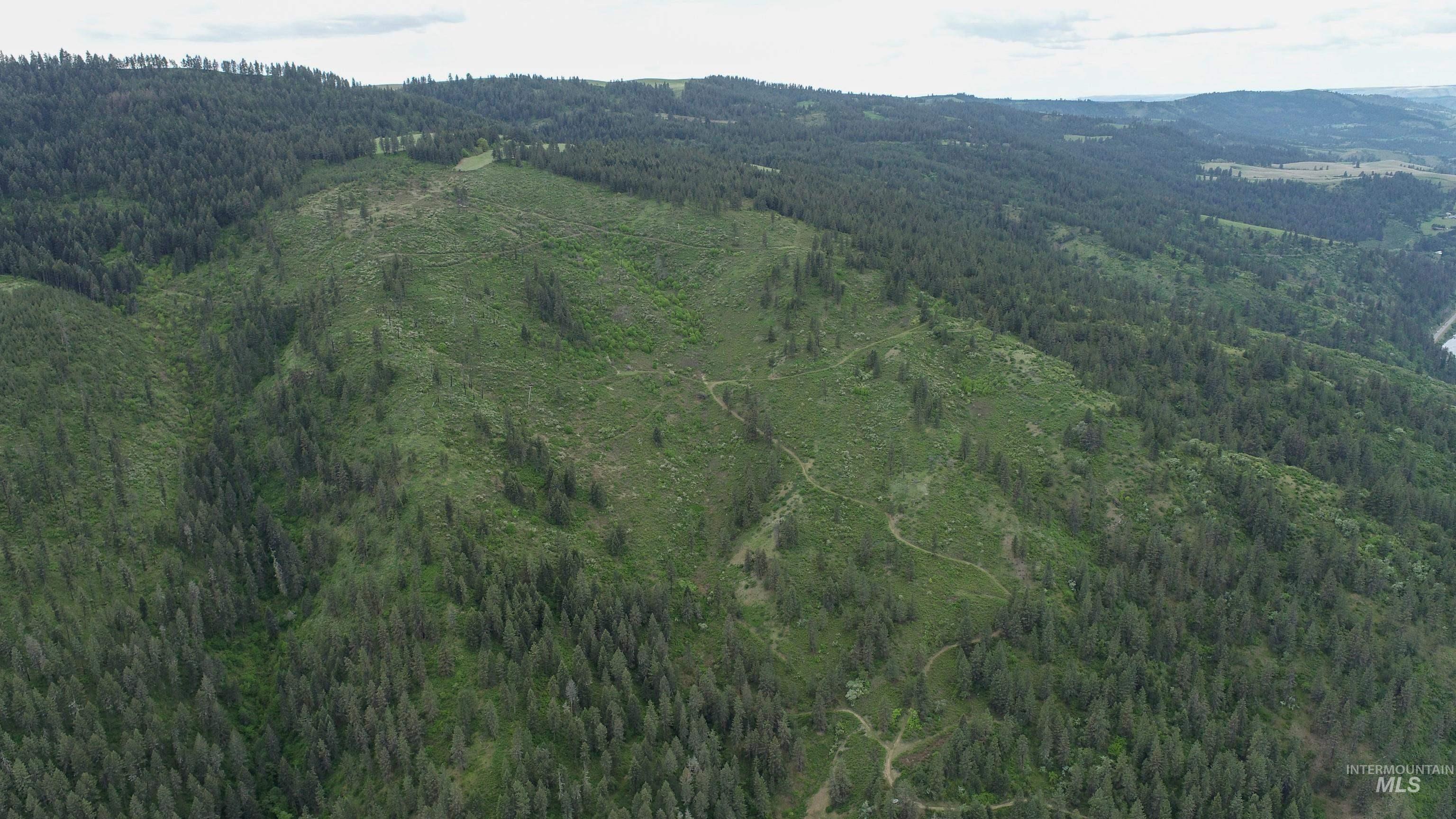 Rural Land Mile Marker 33 HWY 12, Peck, Idaho 83545, Land For Sale, Price $1,250,000, 98946518