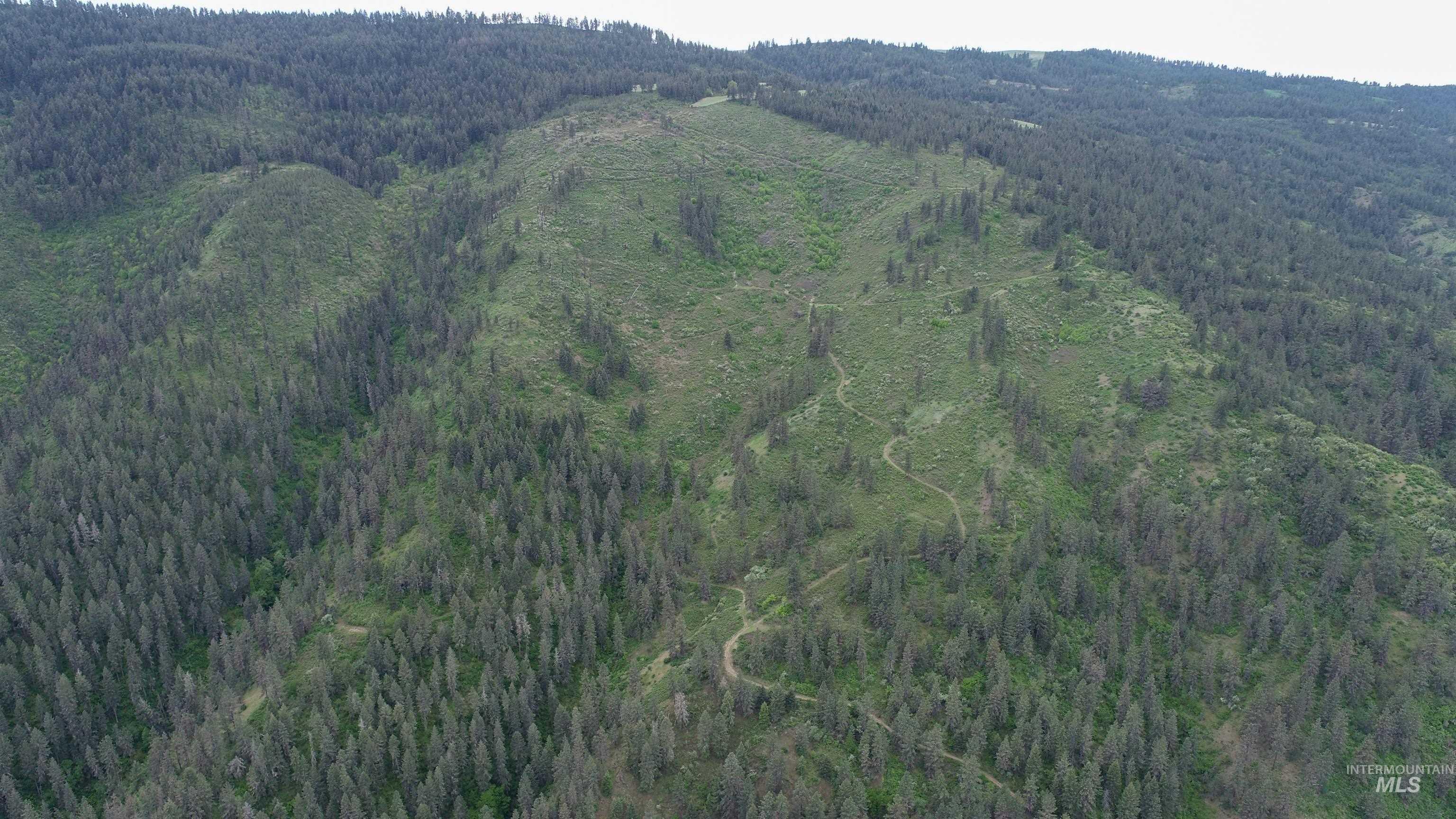 Rural Land Mile Marker 33 HWY 12, Peck, Idaho 83545, Land For Sale, Price $1,250,000, 98946518