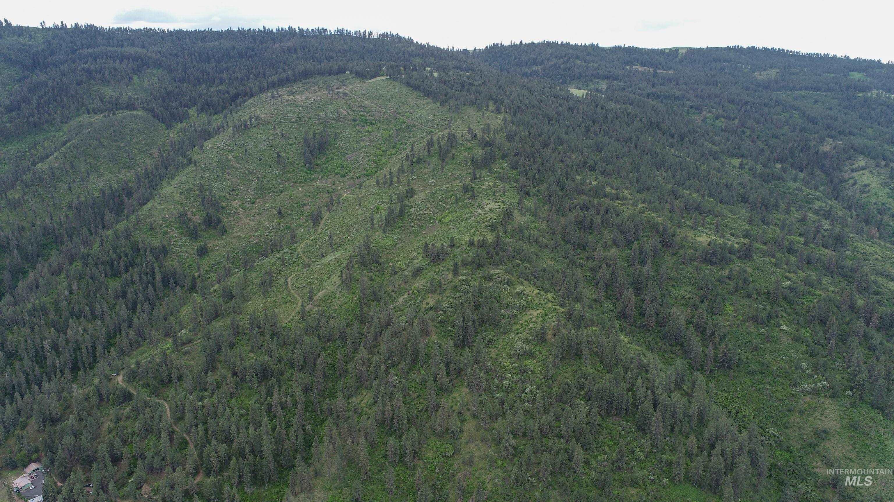 Rural Land Mile Marker 33 HWY 12, Peck, Idaho 83545, Land For Sale, Price $1,250,000, 98946518