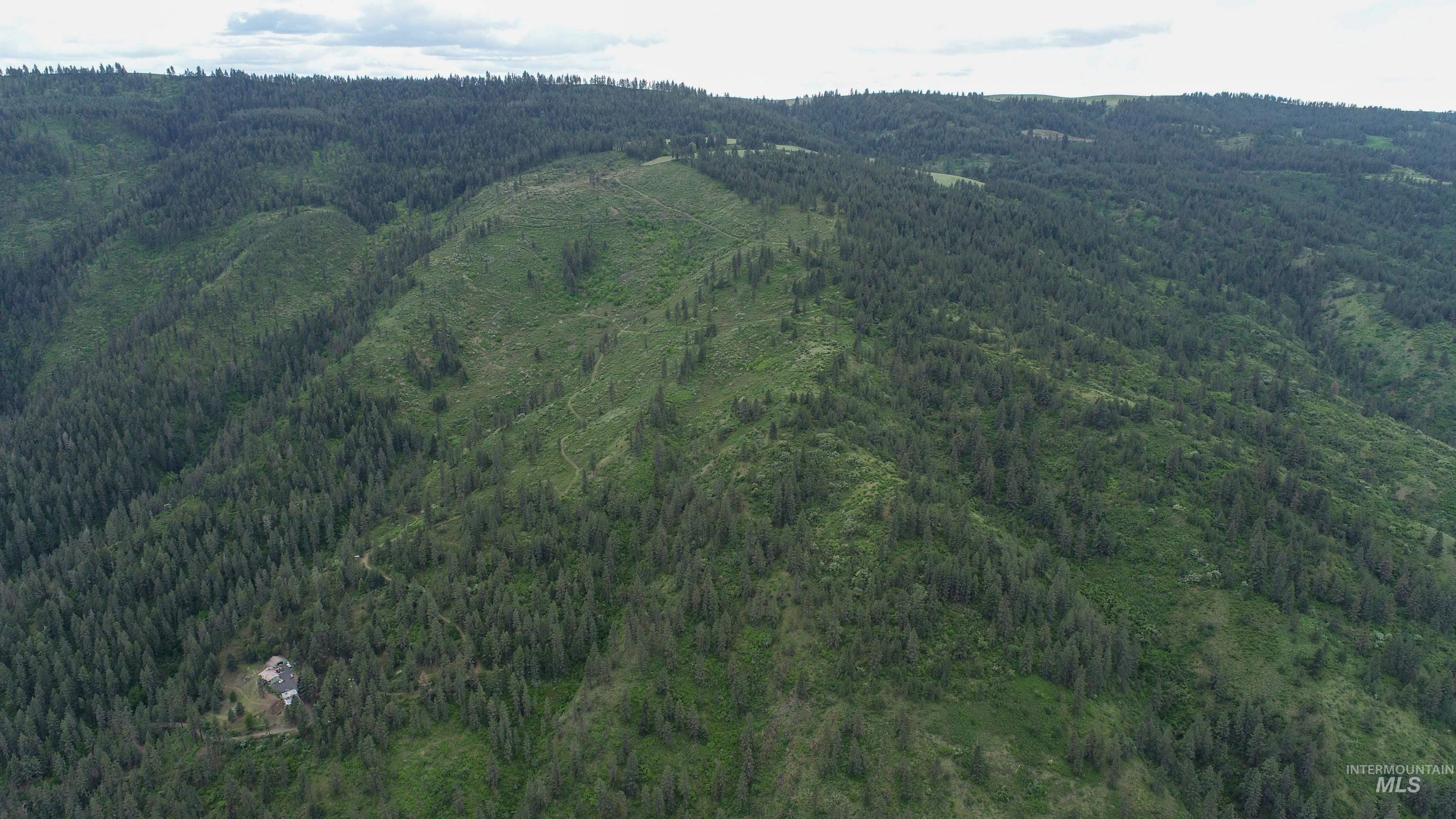 Rural Land Mile Marker 33 HWY 12, Peck, Idaho 83545, Land For Sale, Price $1,250,000, 98946518