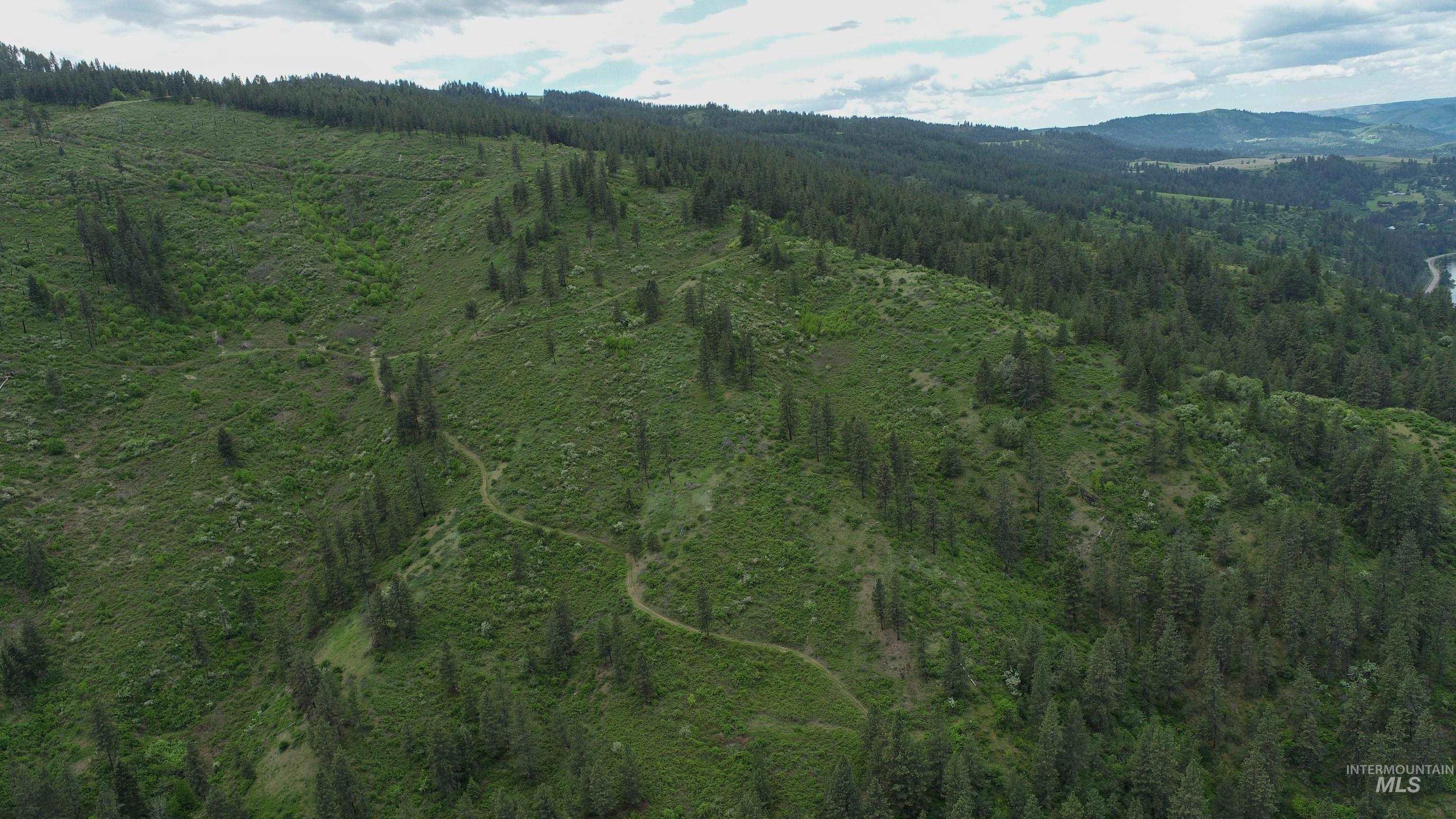 Rural Land Mile Marker 33 HWY 12, Peck, Idaho 83545, Land For Sale, Price $1,250,000, 98946518