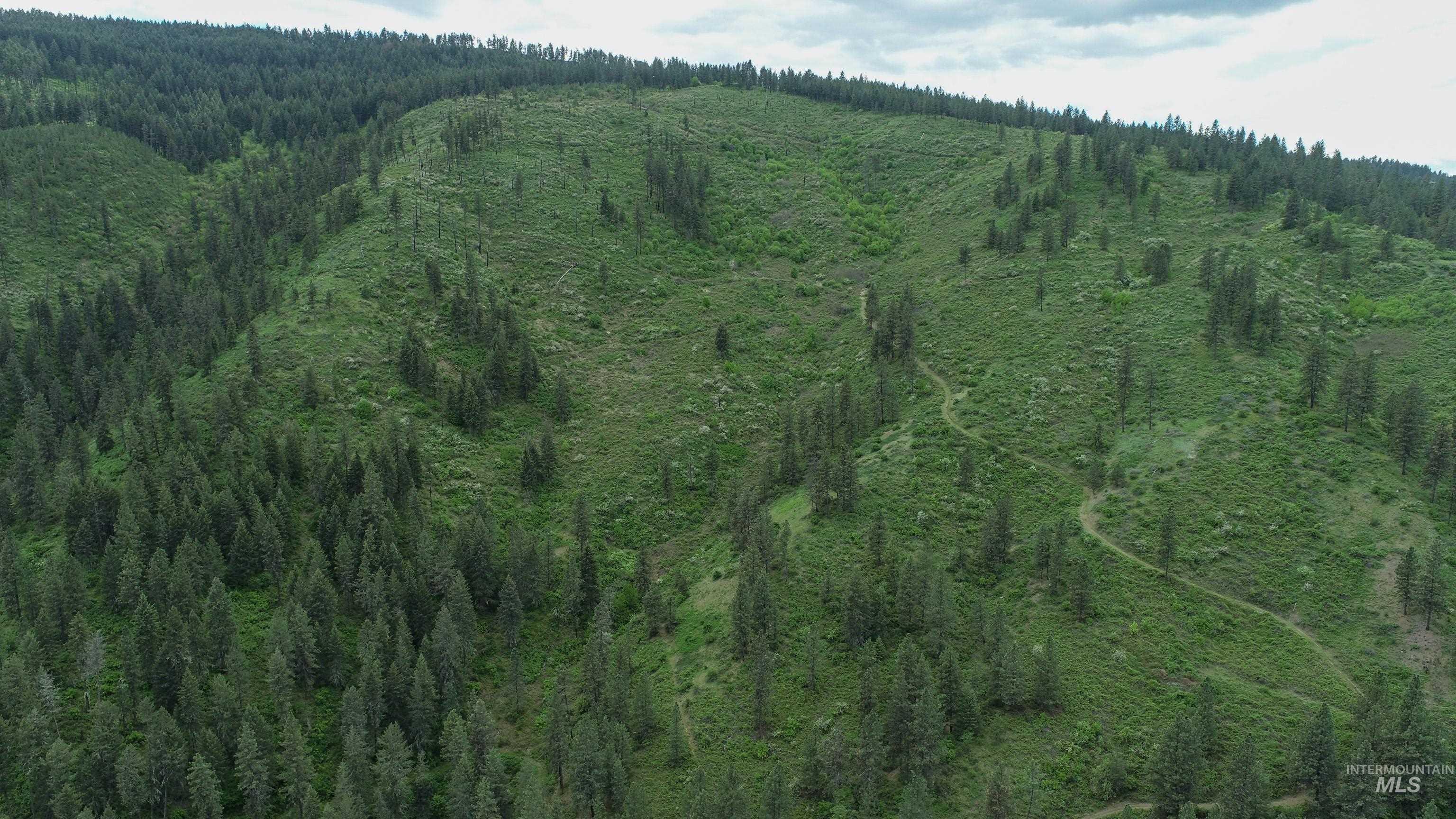 Rural Land Mile Marker 33 HWY 12, Peck, Idaho 83545, Land For Sale, Price $1,250,000, 98946518