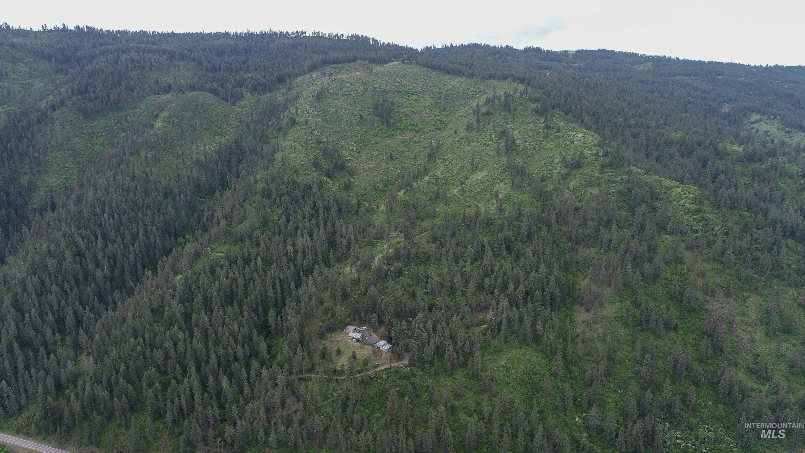Rural Land Mile Marker 33 HWY 12, Peck, Idaho 83545, Land For Sale, Price $1,250,000, 98946518