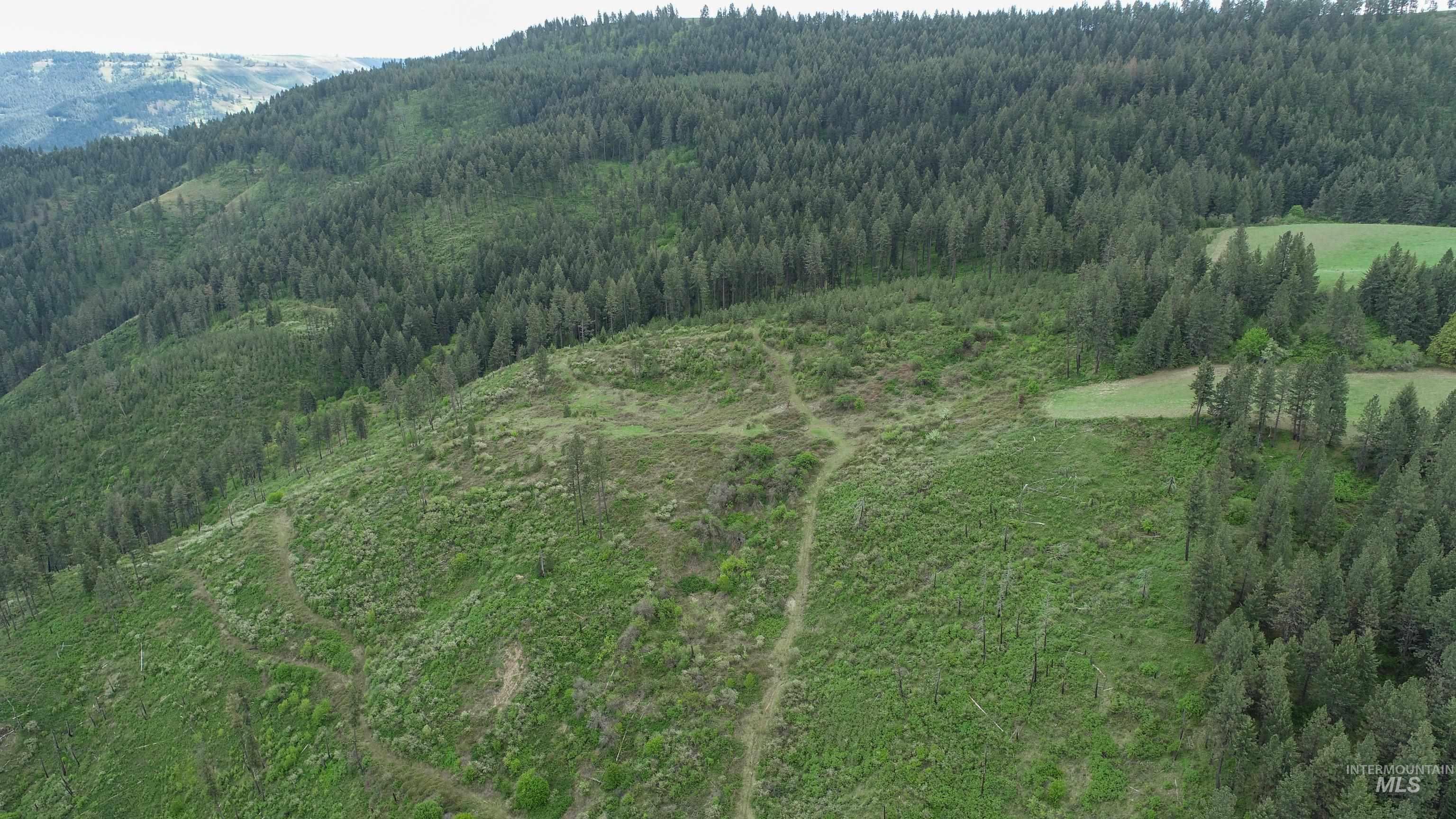 Rural Land Mile Marker 33 HWY 12, Peck, Idaho 83545, Land For Sale, Price $1,250,000, 98946518