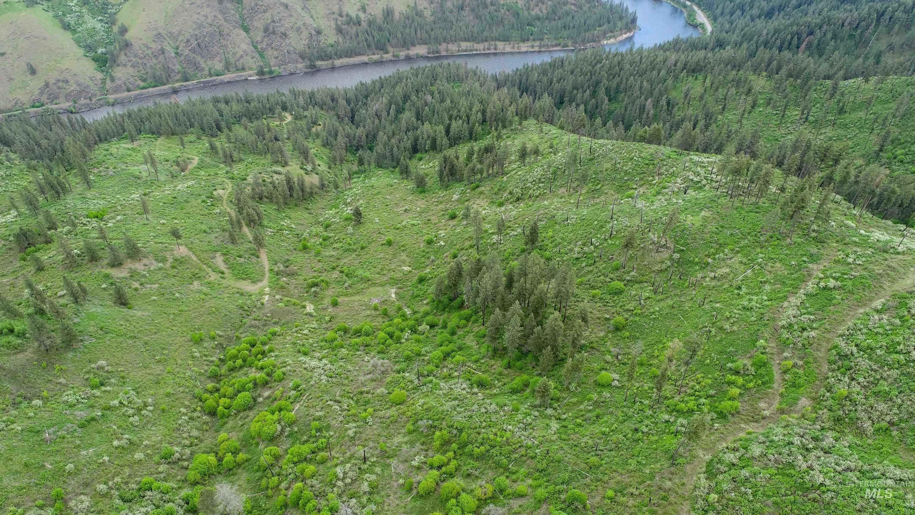 Rural Land Mile Marker 33 HWY 12, Peck, Idaho 83545, Land For Sale, Price $1,250,000, 98946518