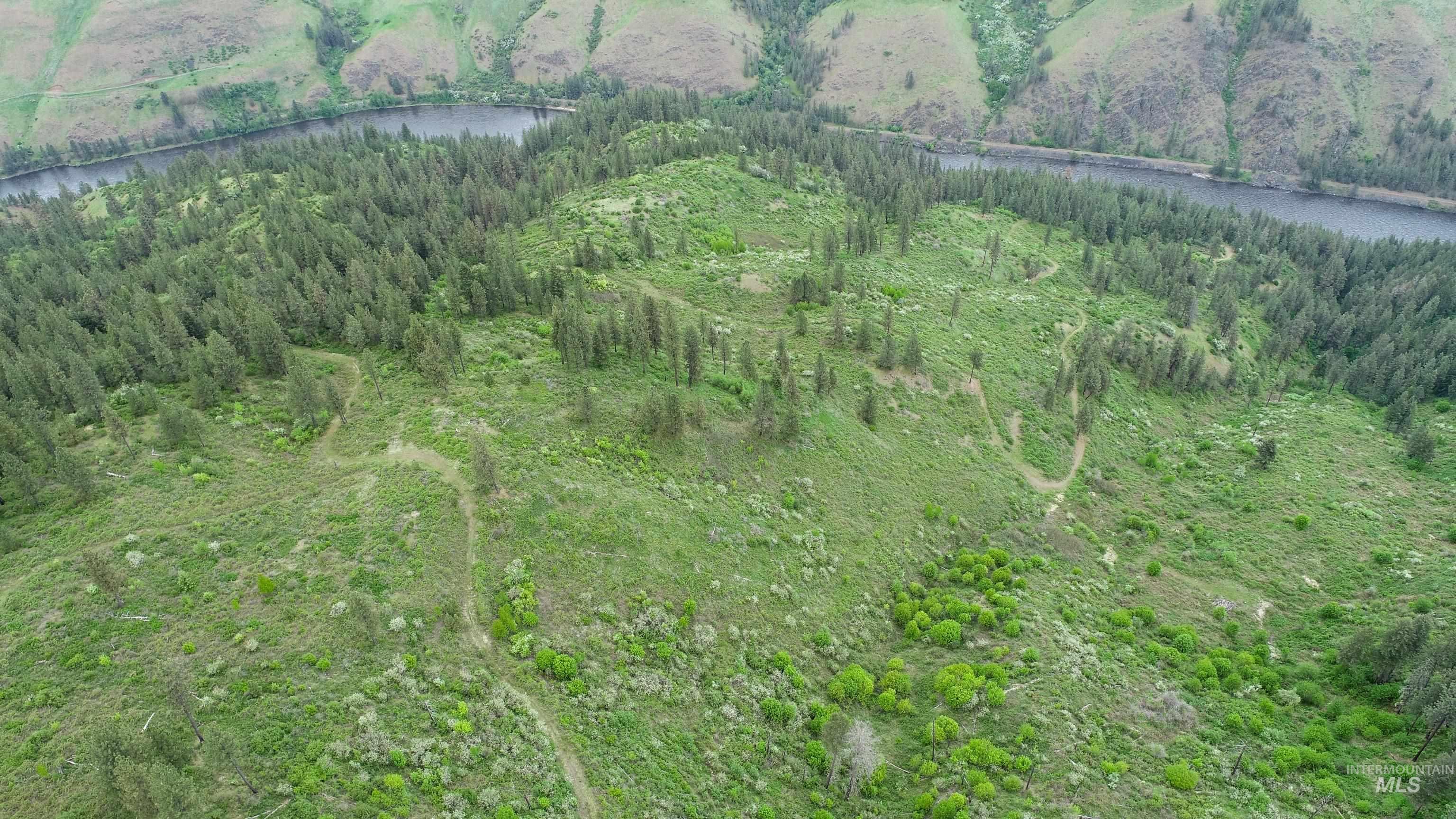 Rural Land Mile Marker 33 HWY 12, Peck, Idaho 83545, Land For Sale, Price $1,250,000, 98946518