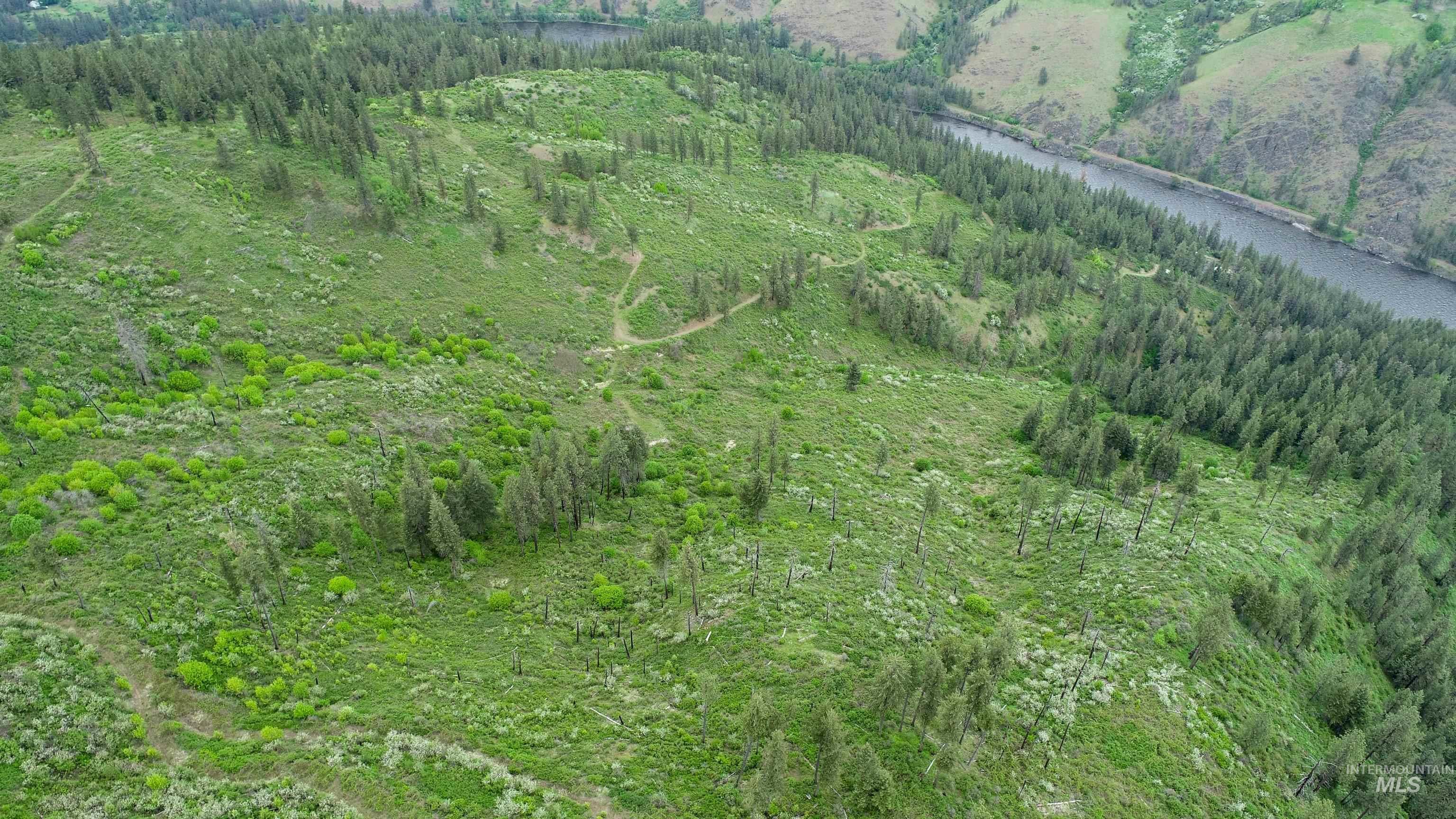 Rural Land Mile Marker 33 HWY 12, Peck, Idaho 83545, Land For Sale, Price $1,250,000, 98946518