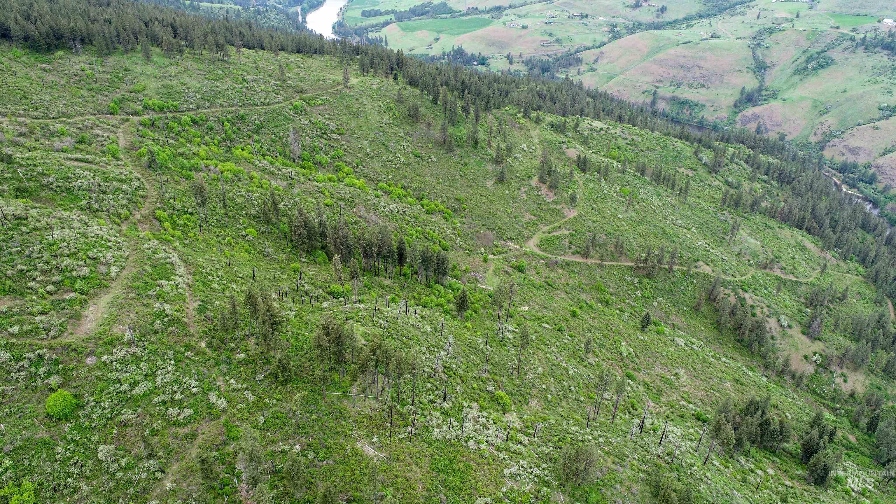 Rural Land Mile Marker 33 HWY 12, Peck, Idaho 83545, Land For Sale, Price $1,250,000, 98946518