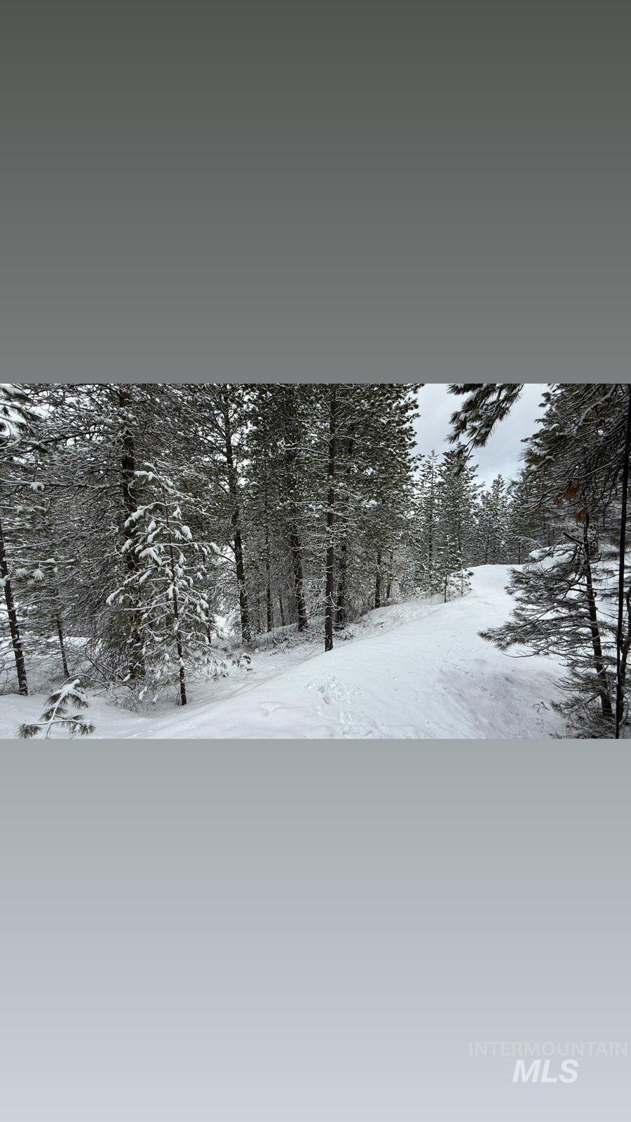 Lot 12 Payette River Ranch, Banks, Idaho 83602, Land For Sale, Price $230,000,MLS 98946536