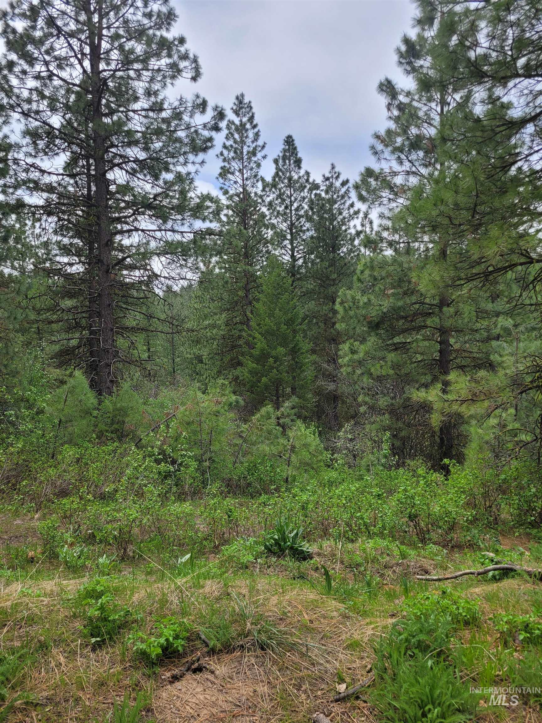 Lot 12 Payette River Ranch, Banks, Idaho 83602, Land For Sale, Price $230,000,MLS 98946536