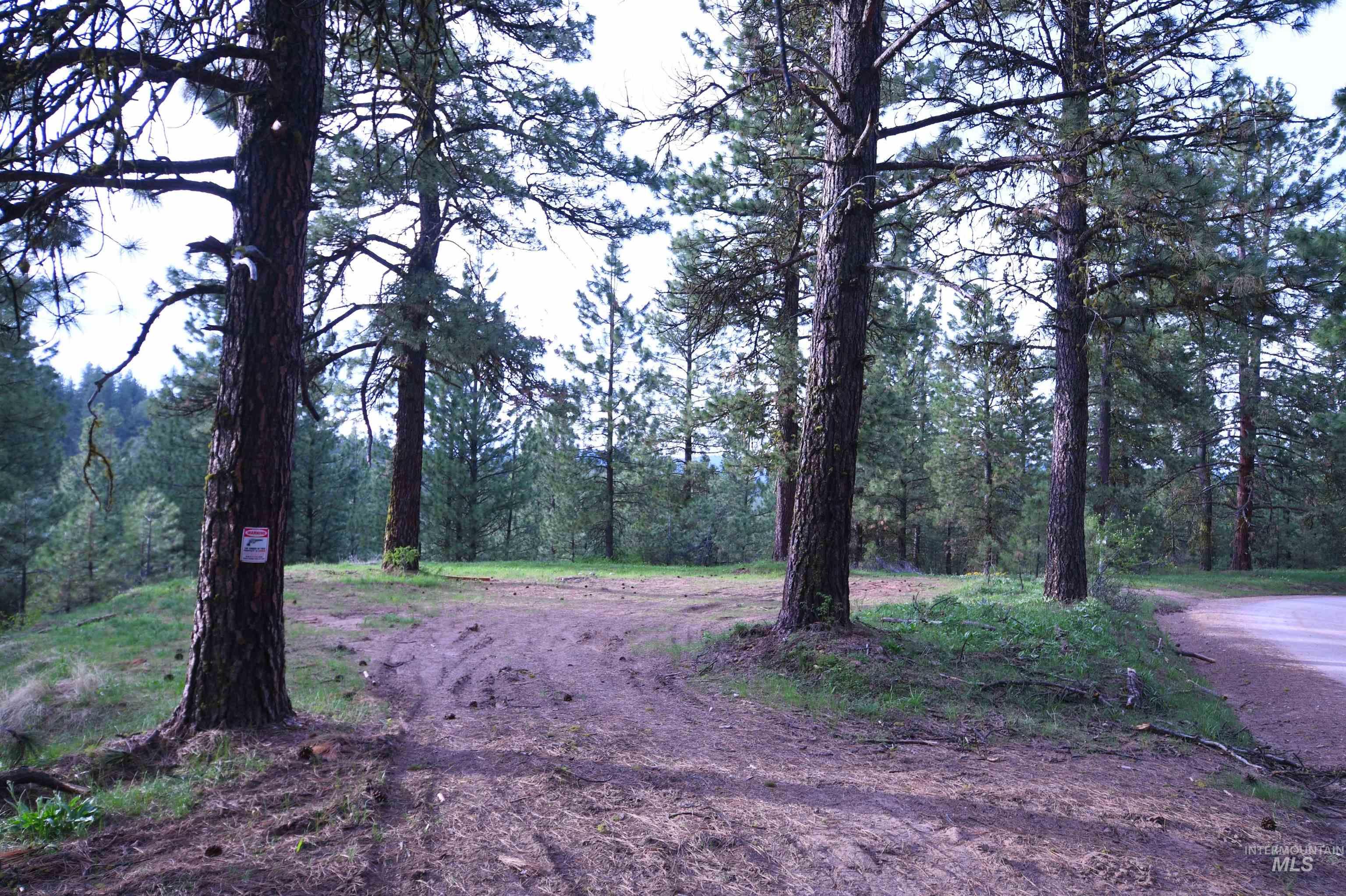 Lot 12 Payette River Ranch, Banks, Idaho 83602, Land For Sale, Price $230,000,MLS 98946536