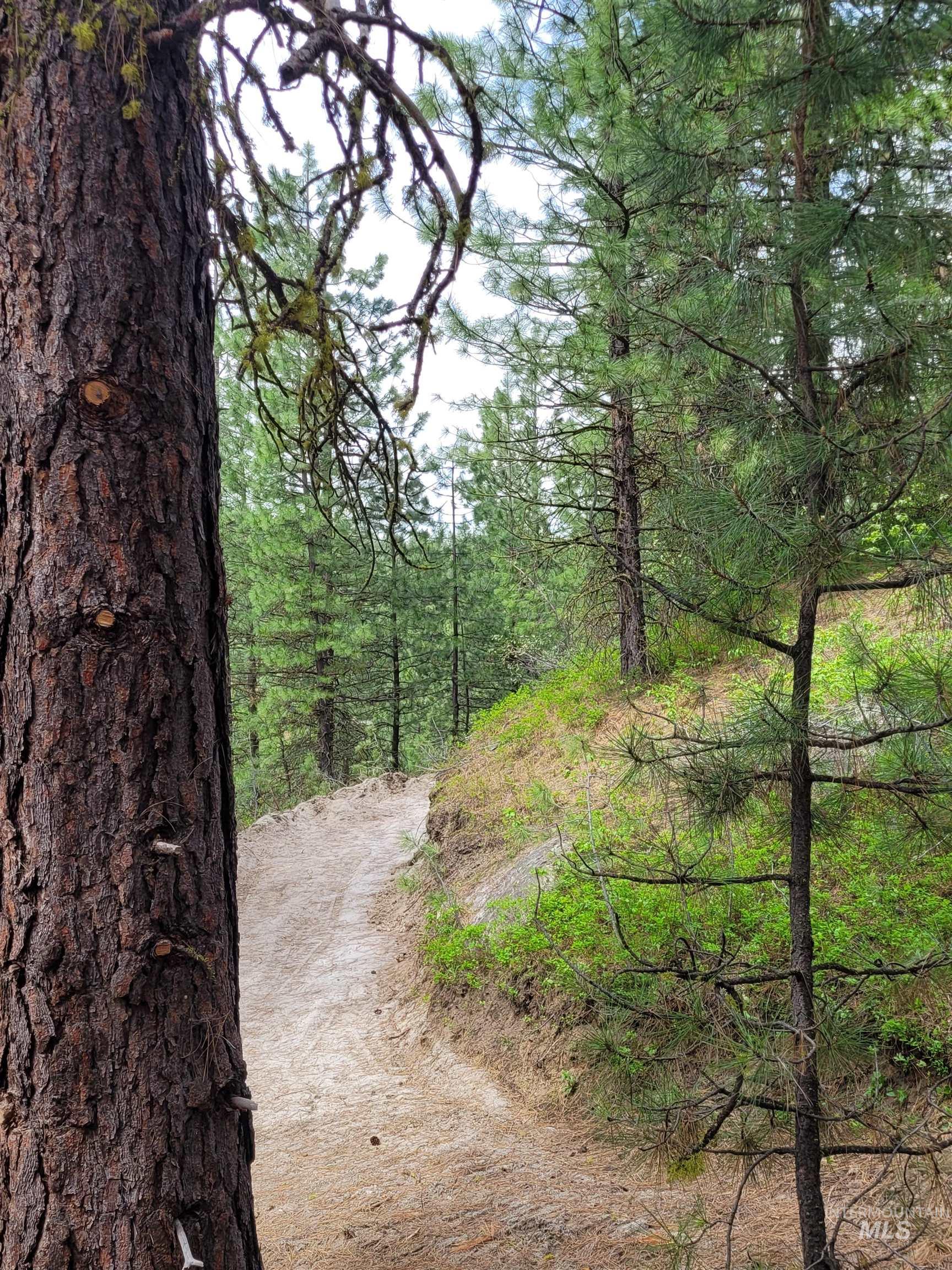 Lot 12 Payette River Ranch, Banks, Idaho 83602, Land For Sale, Price $230,000,MLS 98946536