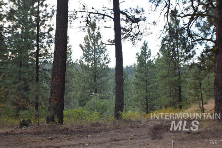 Lot 12 Payette River Ranch, Banks, Idaho 83602, Land For Sale, Price $230,000,MLS 98946536