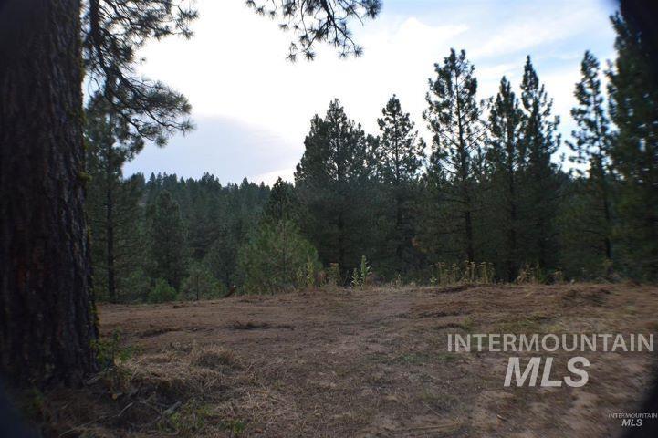 Lot 12 Payette River Ranch, Banks, Idaho 83602, Land For Sale, Price $230,000,MLS 98946536