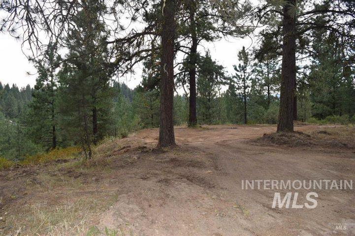 Lot 12 Payette River Ranch, Banks, Idaho 83602, Land For Sale, Price $230,000,MLS 98946536